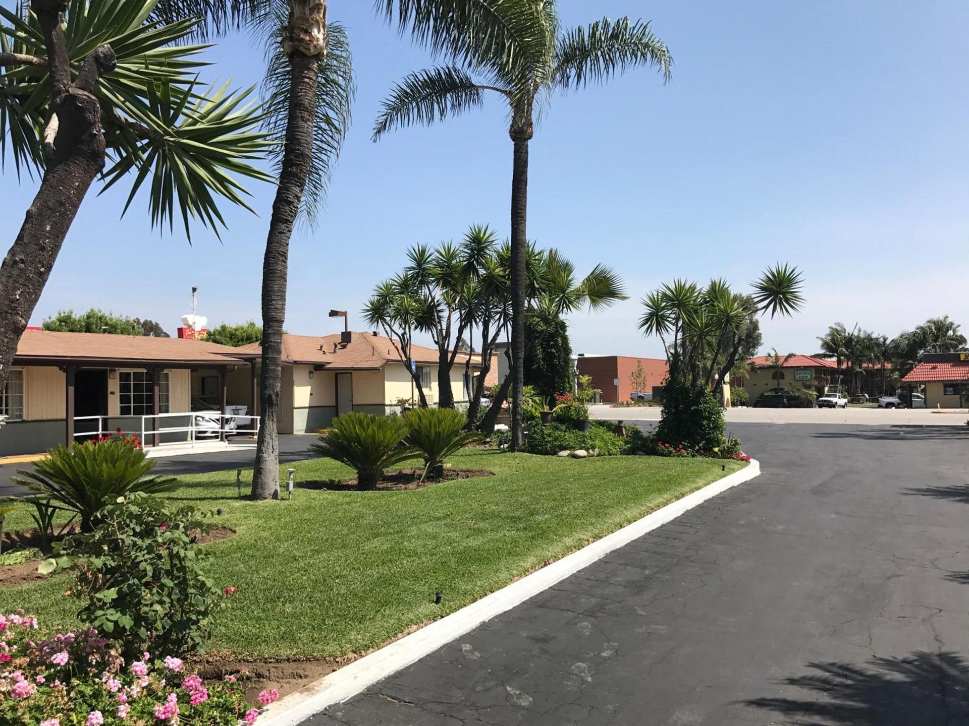 Palm Tropics Motel photo 31