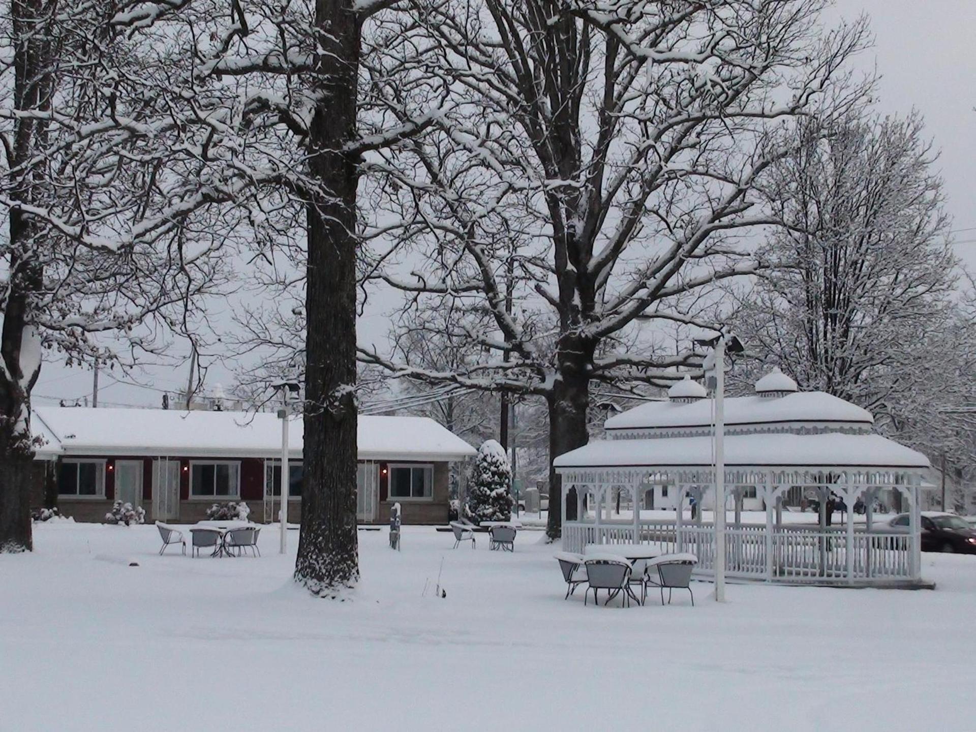 Murray Inn and Art Gallery photo 23