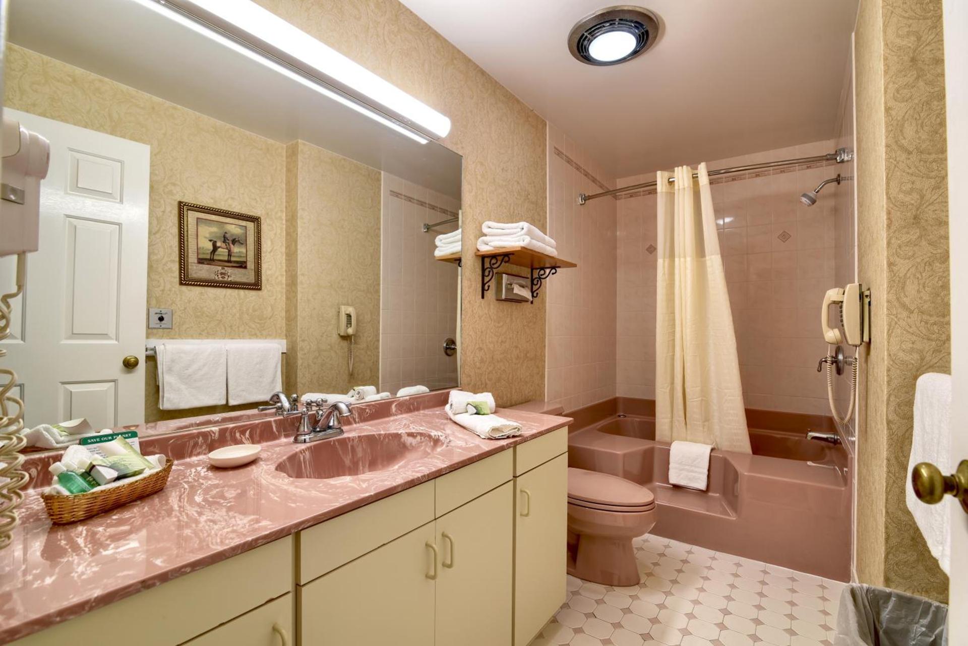 Roosevelt Inn & Suites Saratoga Springs photo 73
