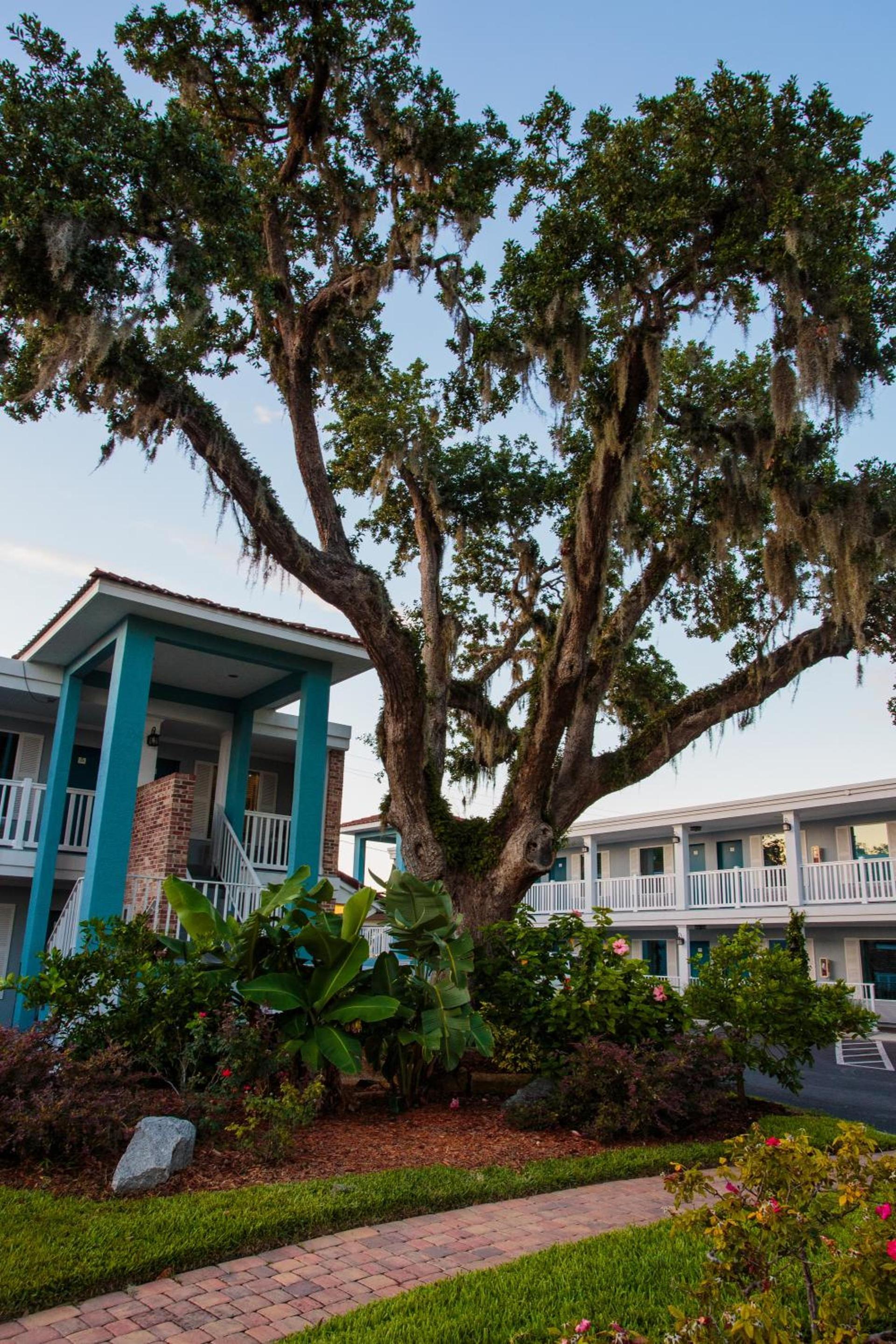 Quality Inn St Augustine Historic District Area photo 25