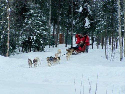 Chena Hot Springs Resort photo 52