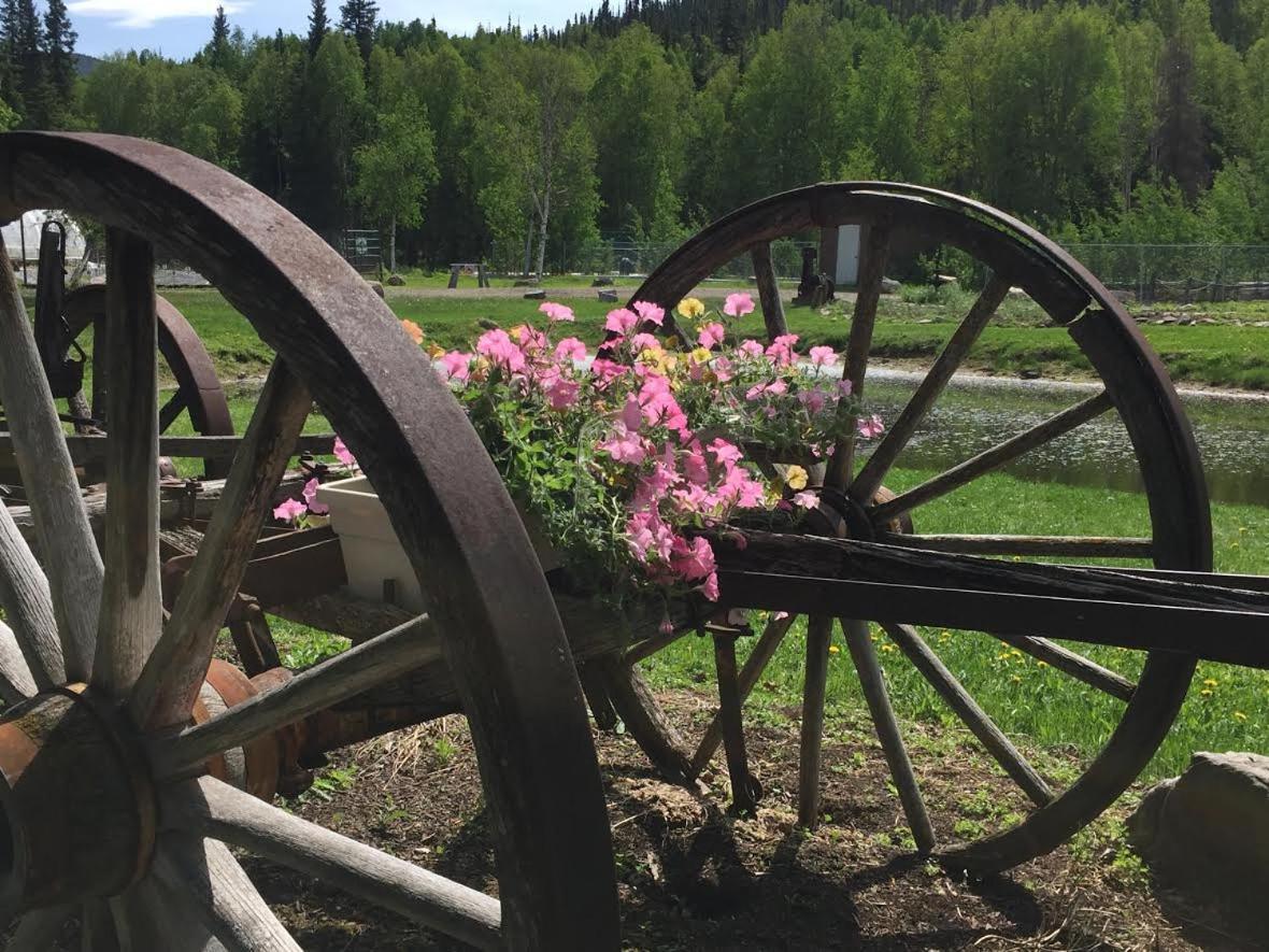Chena Hot Springs Resort photo 44