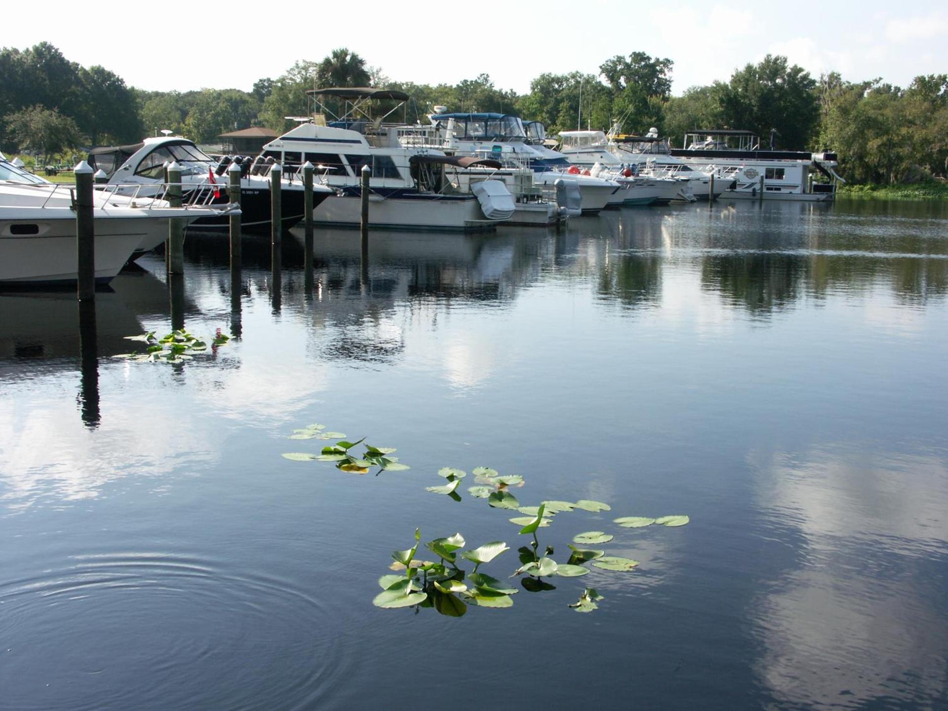 Big River Marina & Lodge photo 3