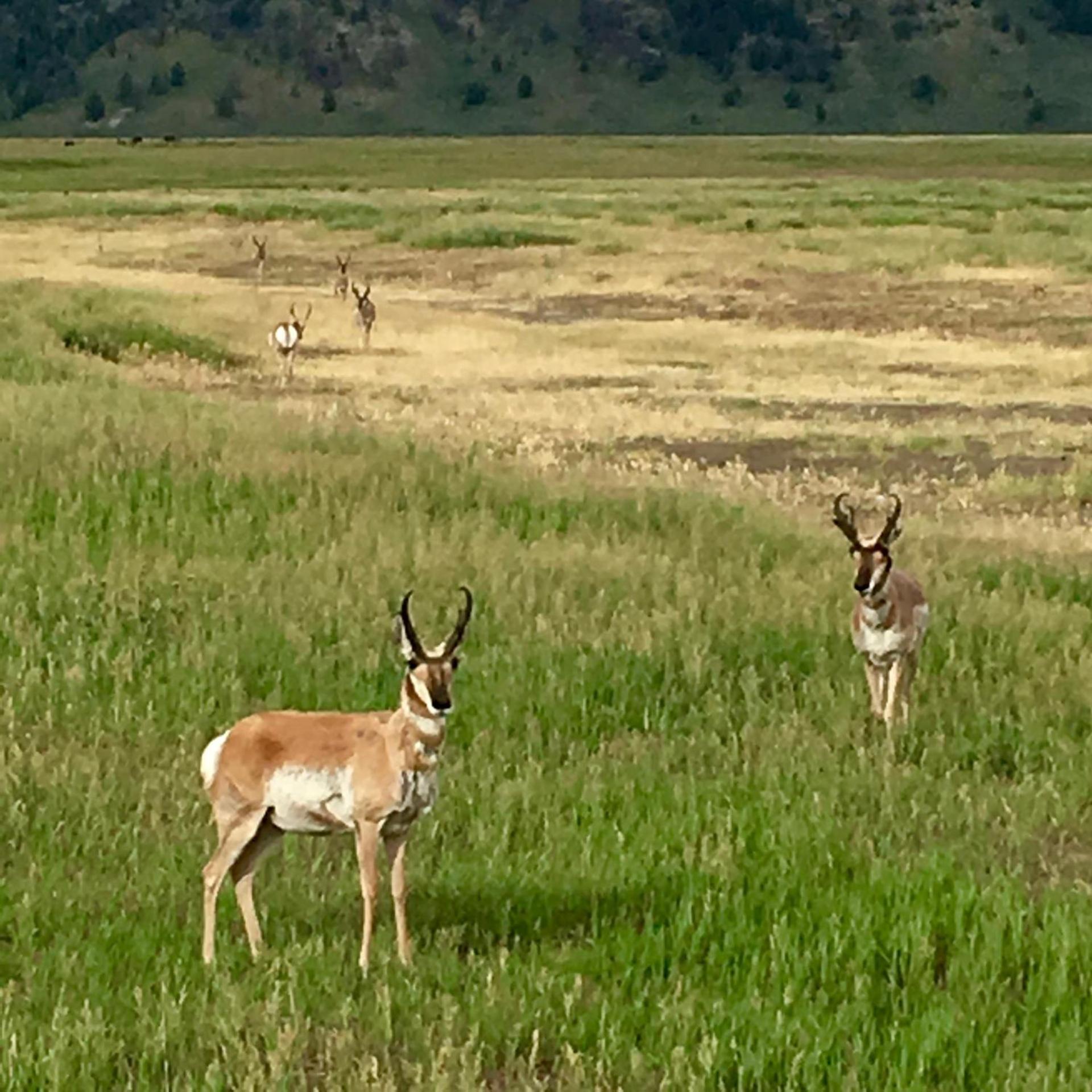 Heart Six Ranch photo 61