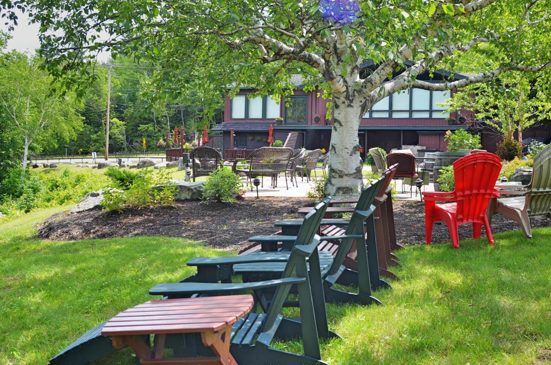 Hungry Trout Resort photo 3