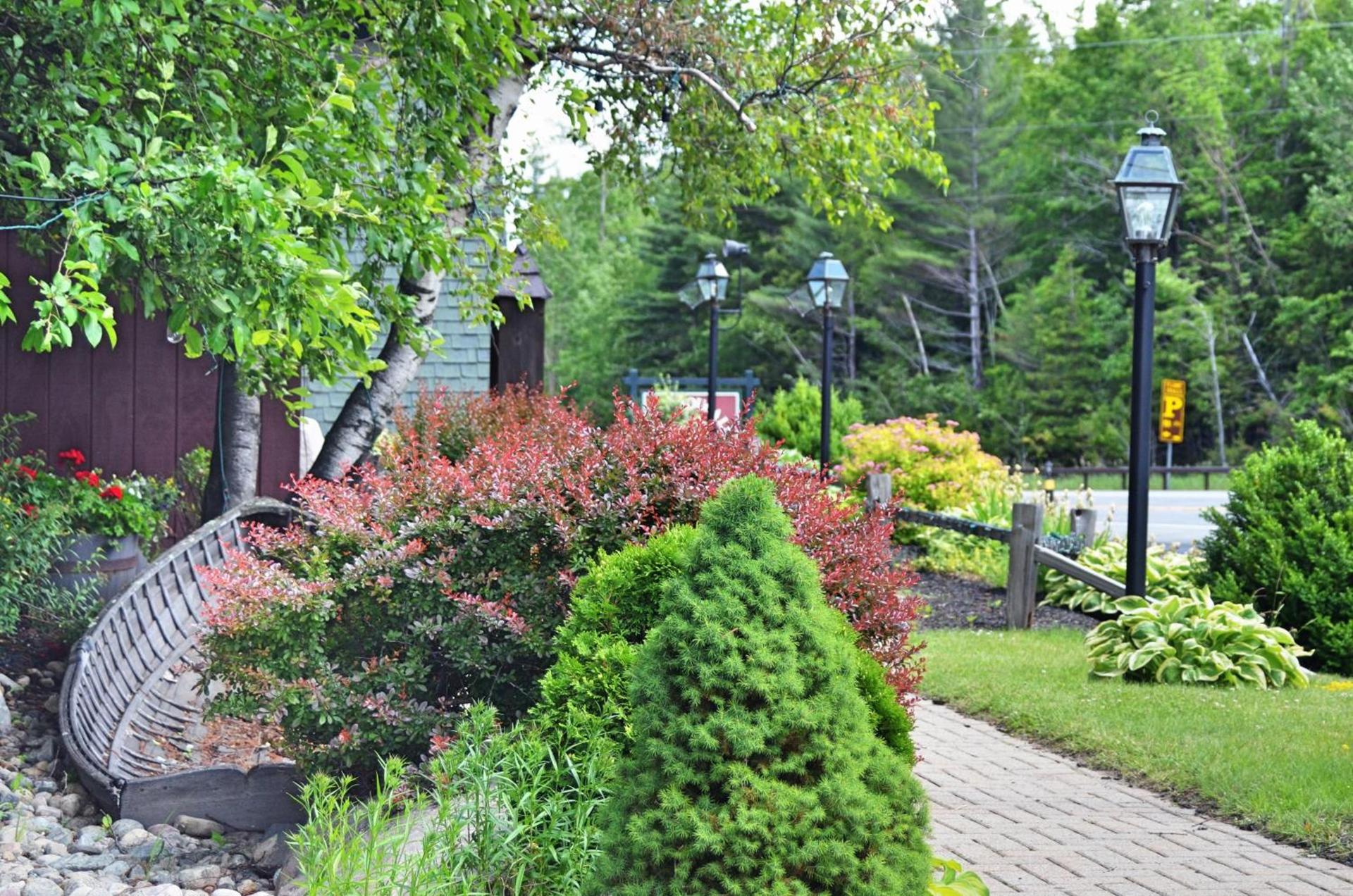 Hungry Trout Resort photo 7