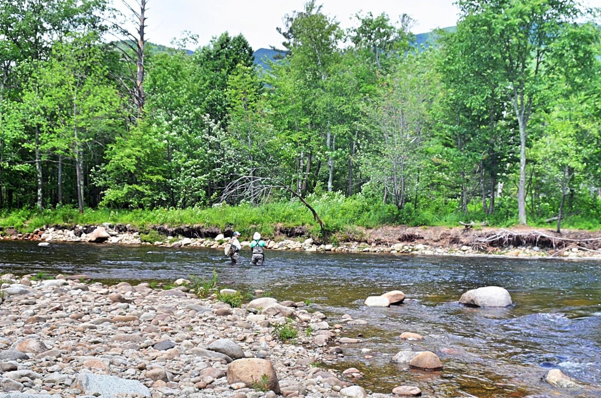 Hungry Trout Resort photo 11