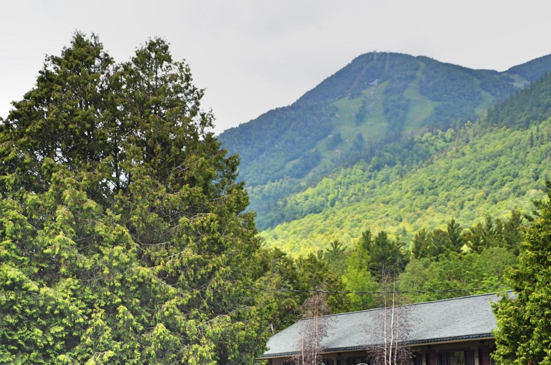 Hungry Trout Resort photo 16
