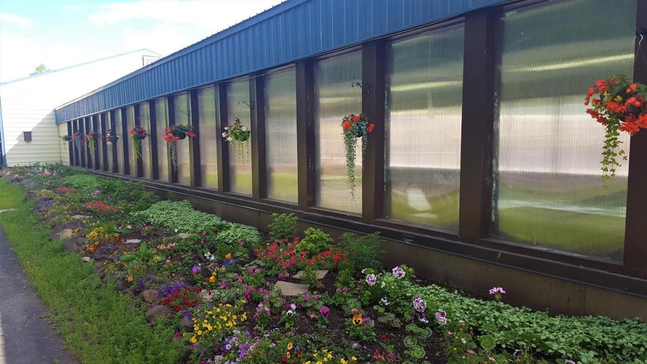 Chena Hot Springs Resort photo 39