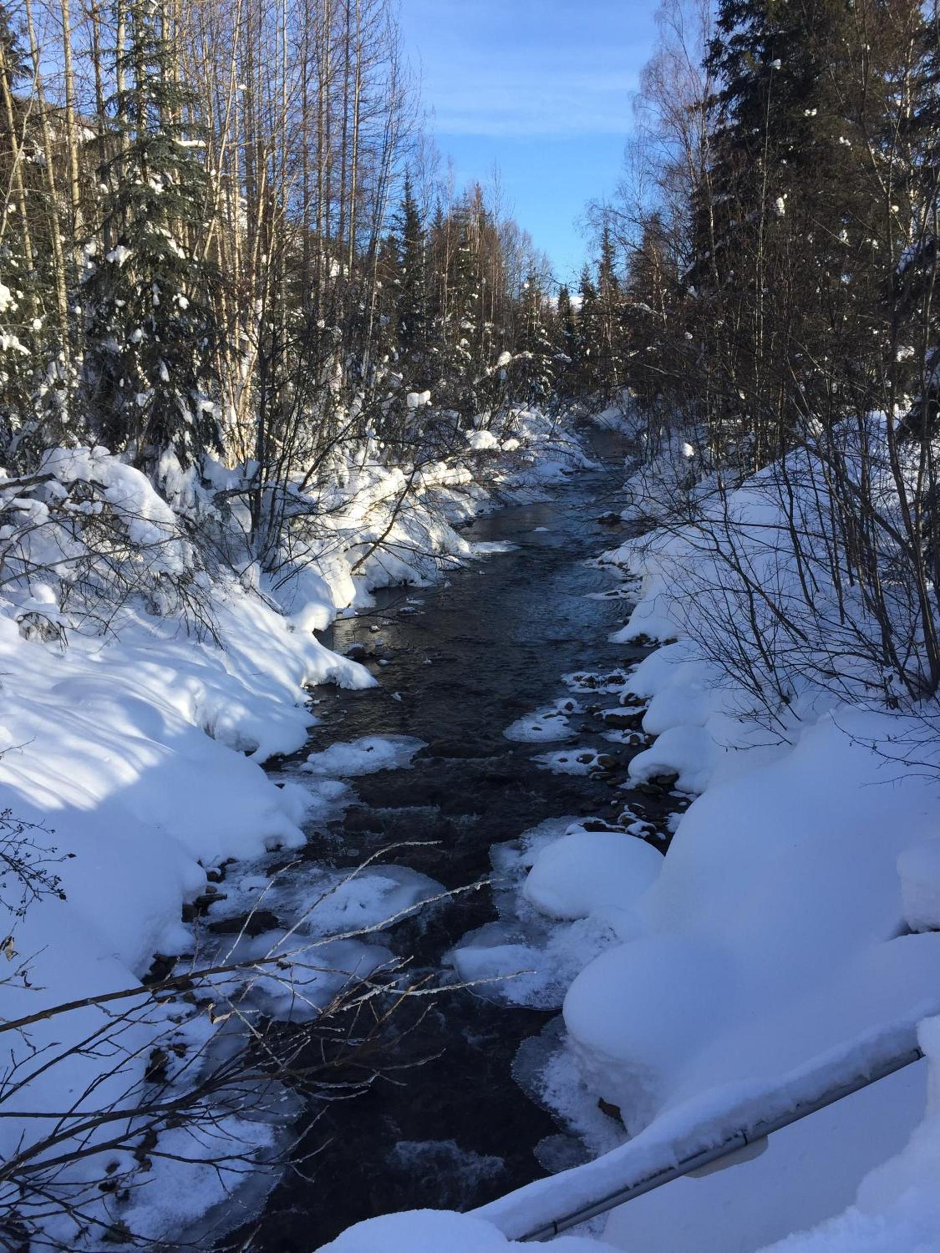 Chena Hot Springs Resort photo 45