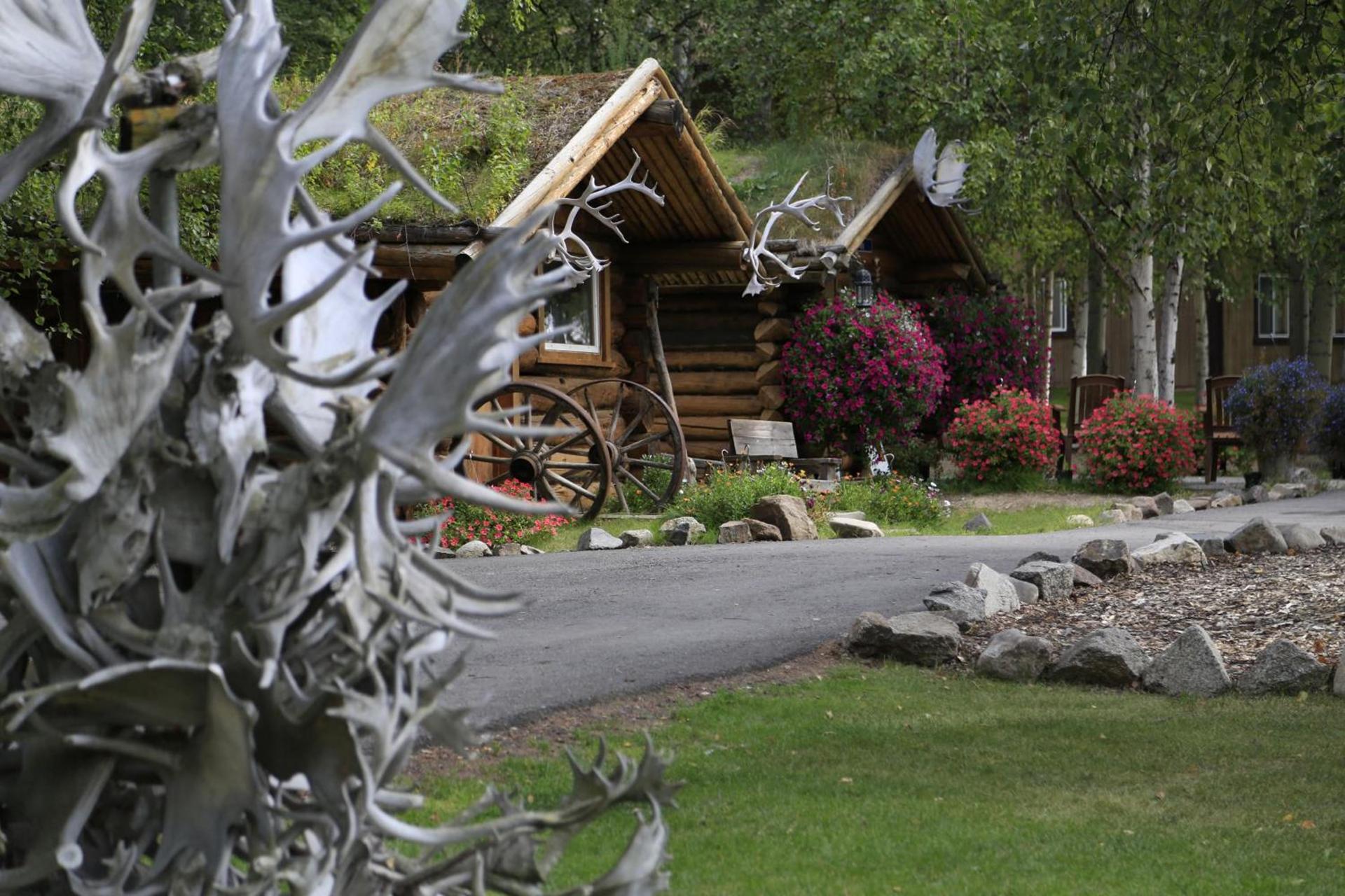 Chena Hot Springs Resort photo 58