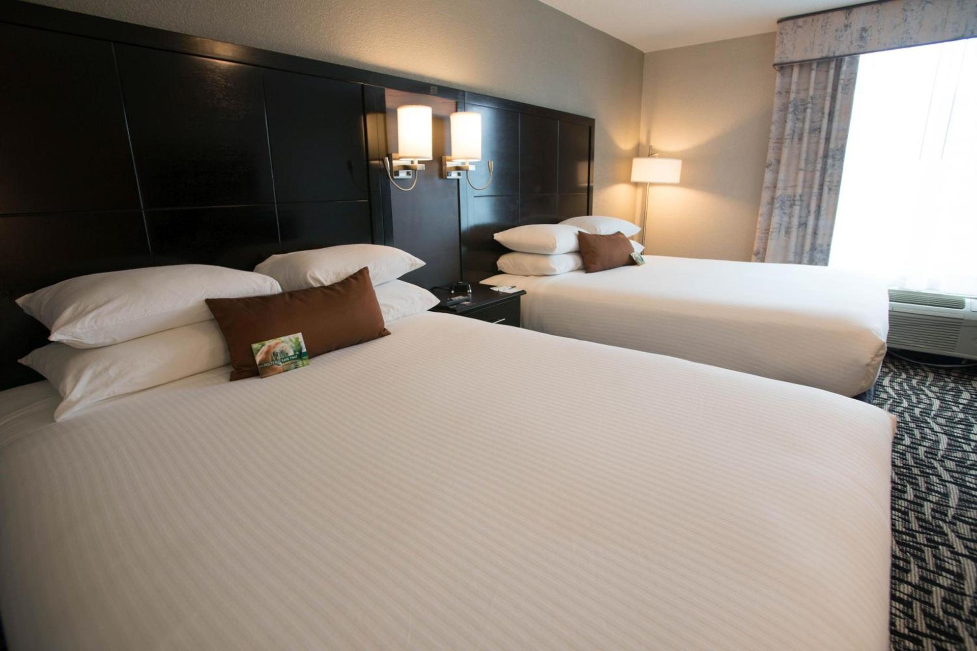 Wingate by Wyndham Dallas Love Field photo 16