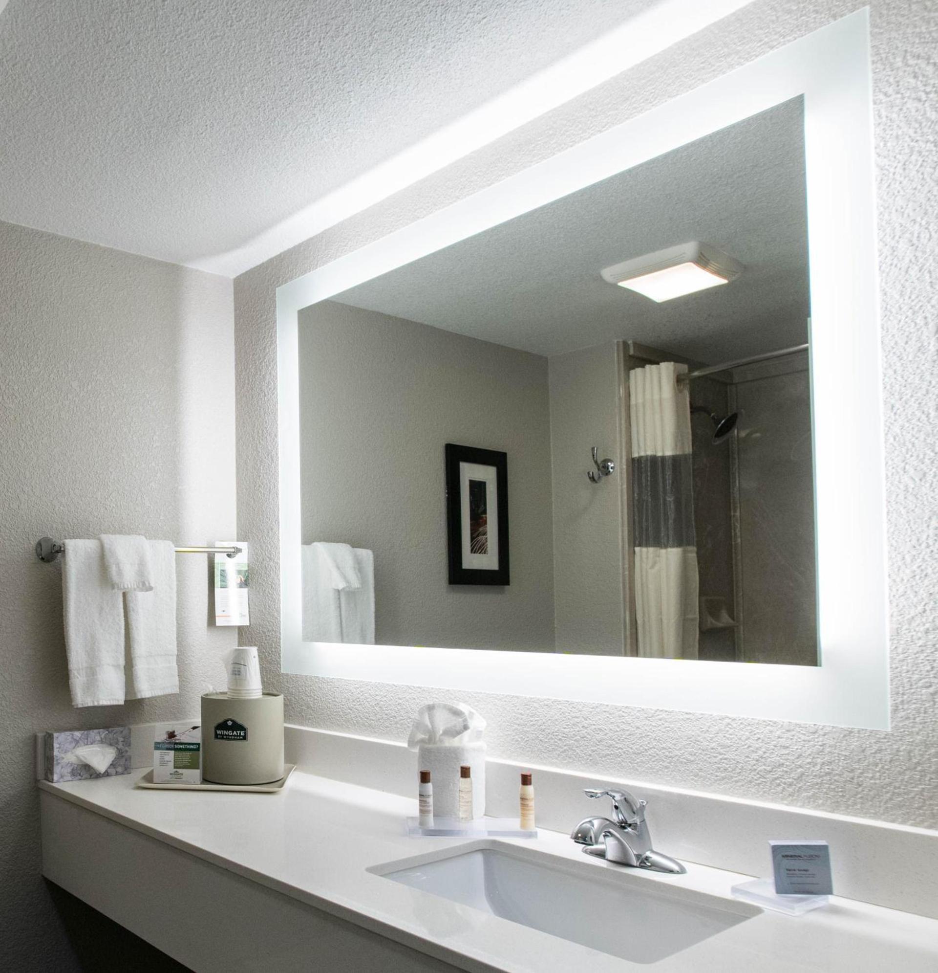 Wingate by Wyndham Dallas Love Field photo 15