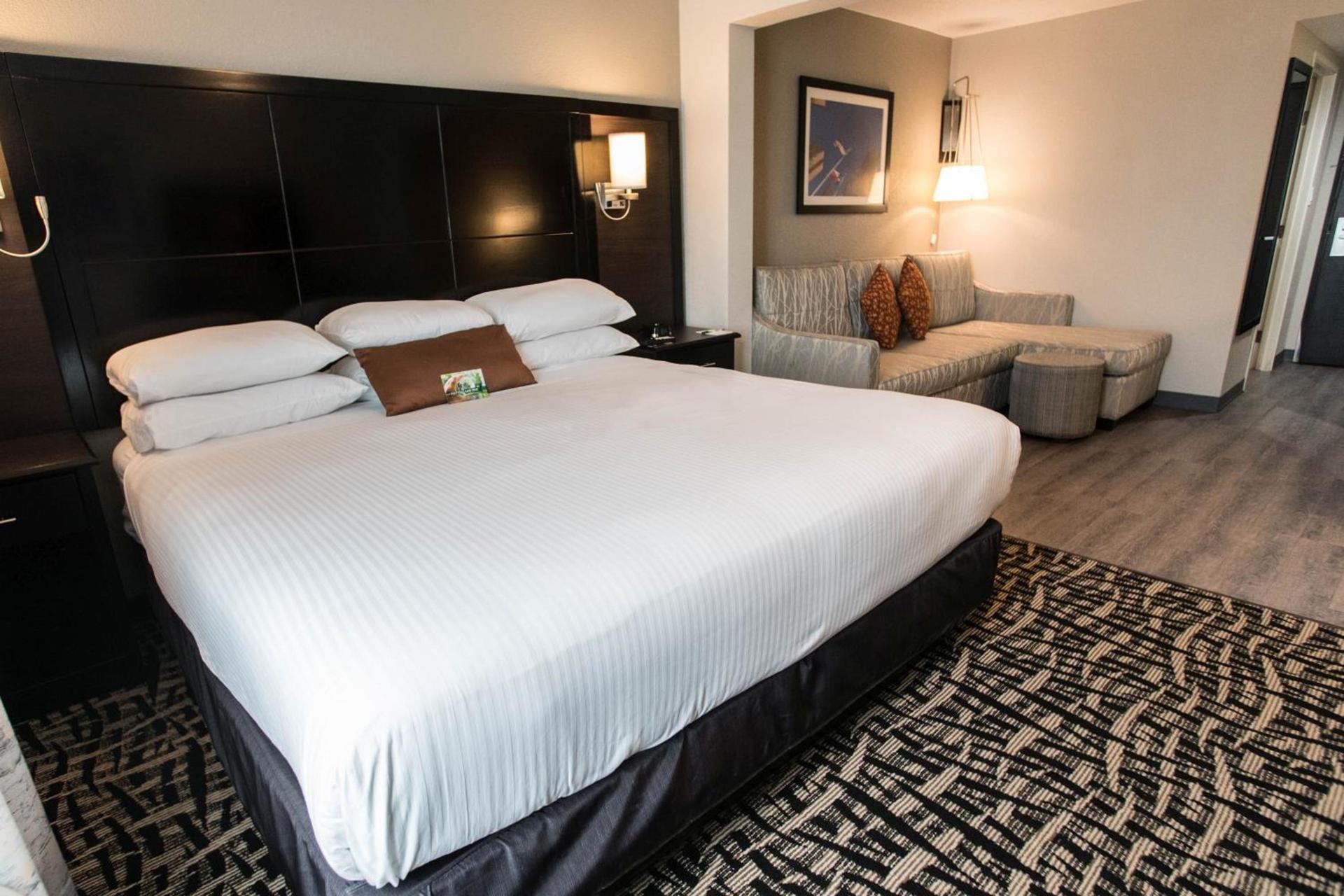 Wingate by Wyndham Dallas Love Field photo 12