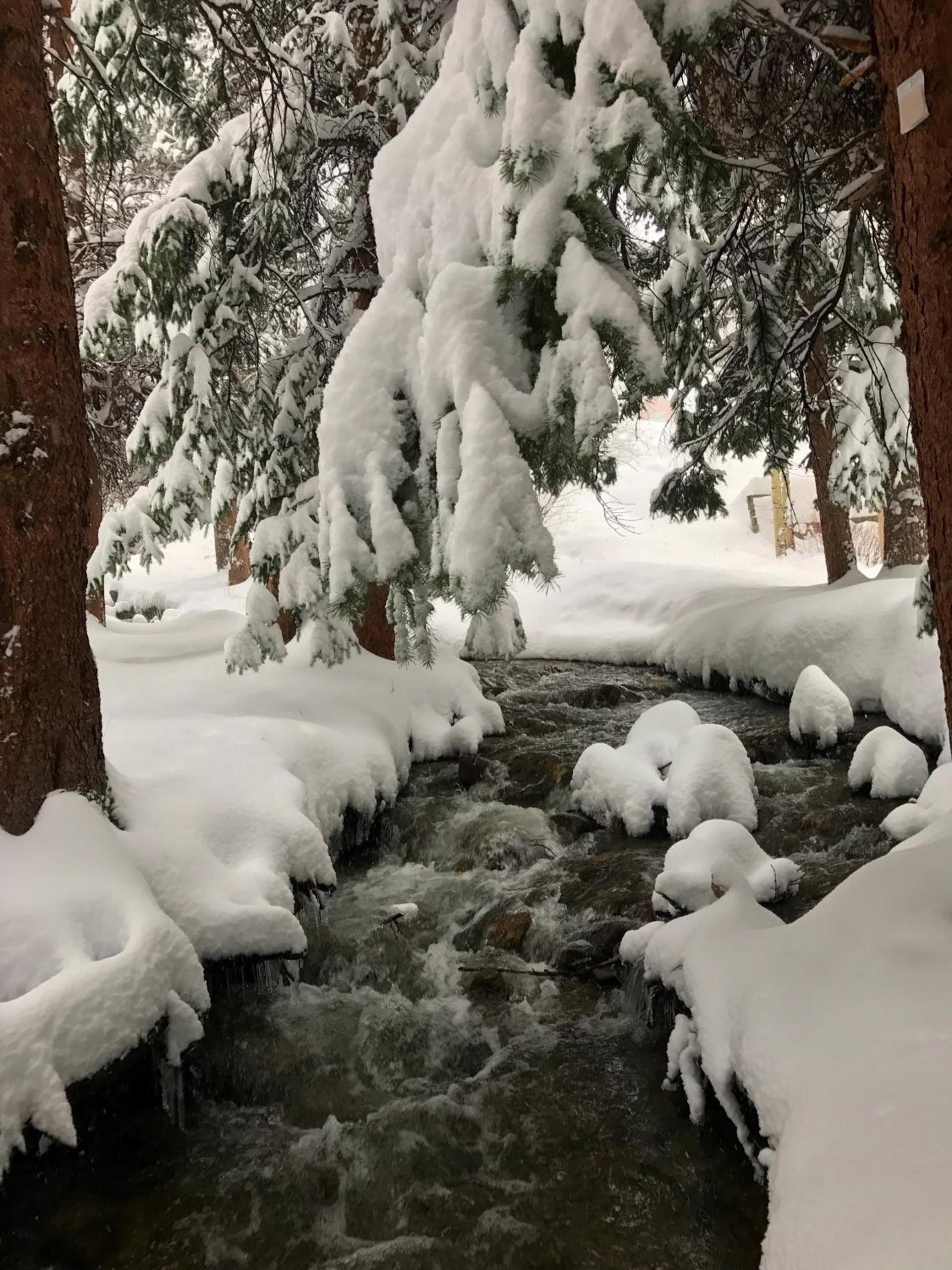 Breck Creekside at Wildwood Suites photo 8