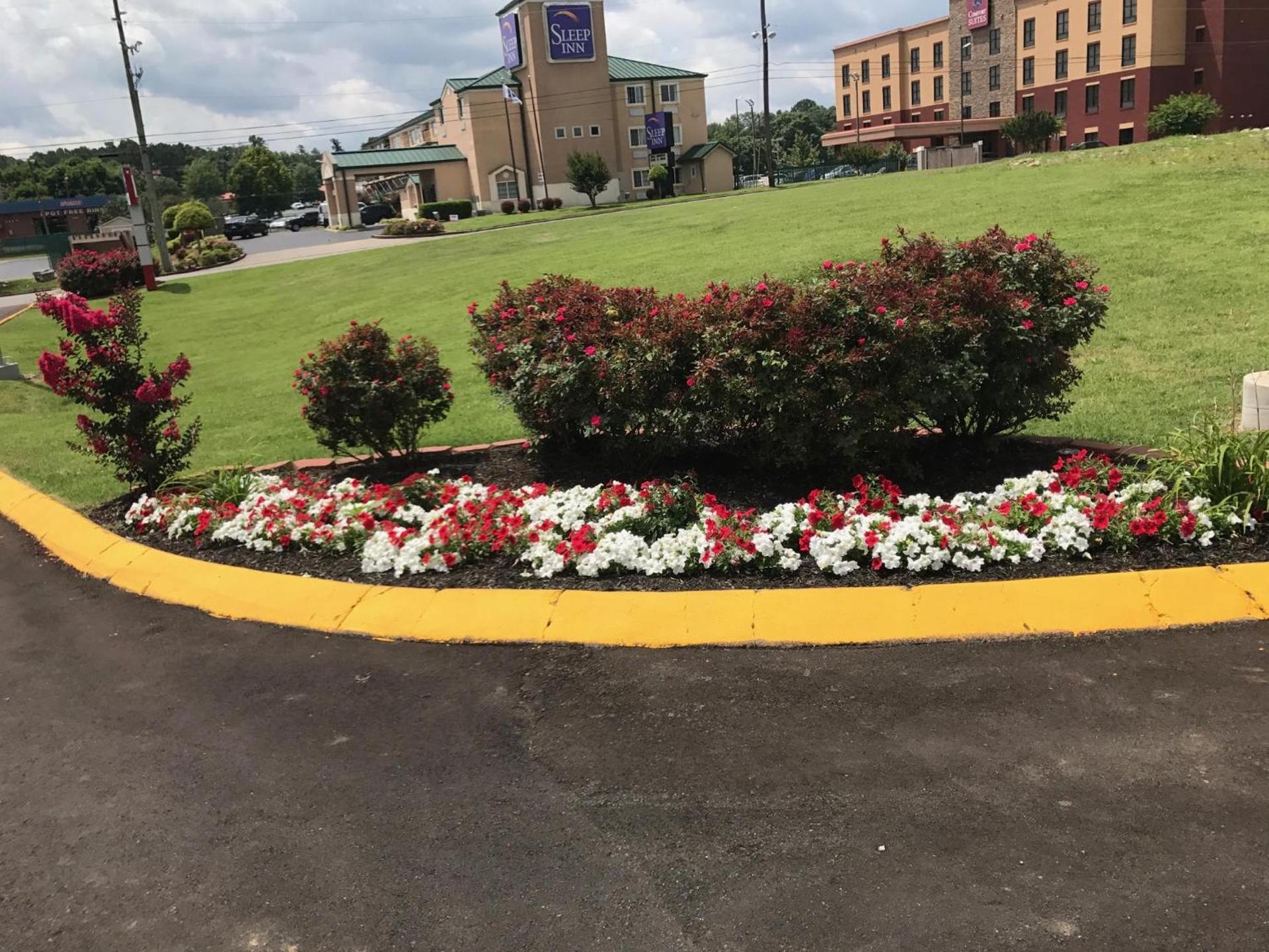 Lotus Inn and Suites Nashville photo 9