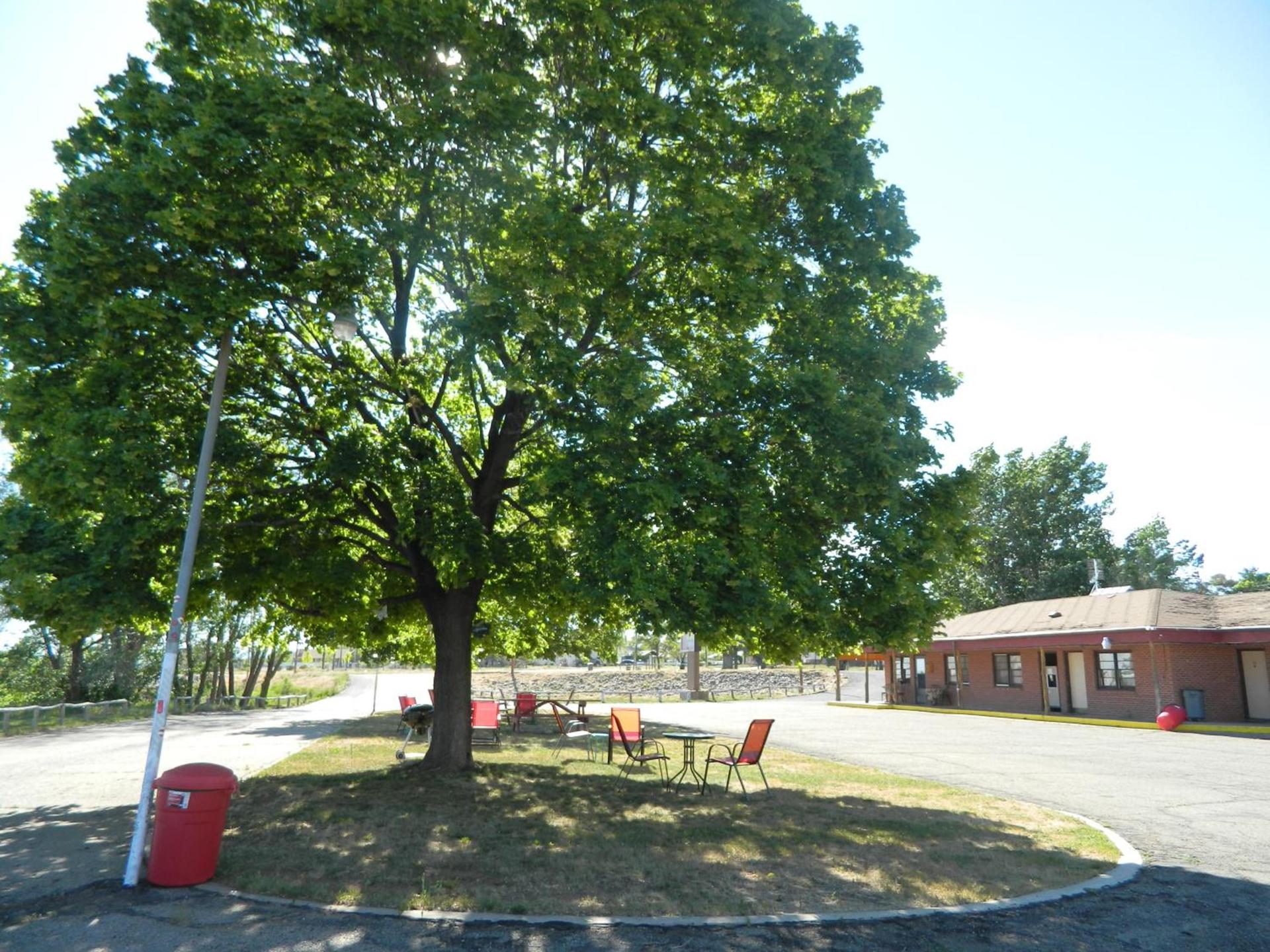 Prospector Motor Lodge photo 15