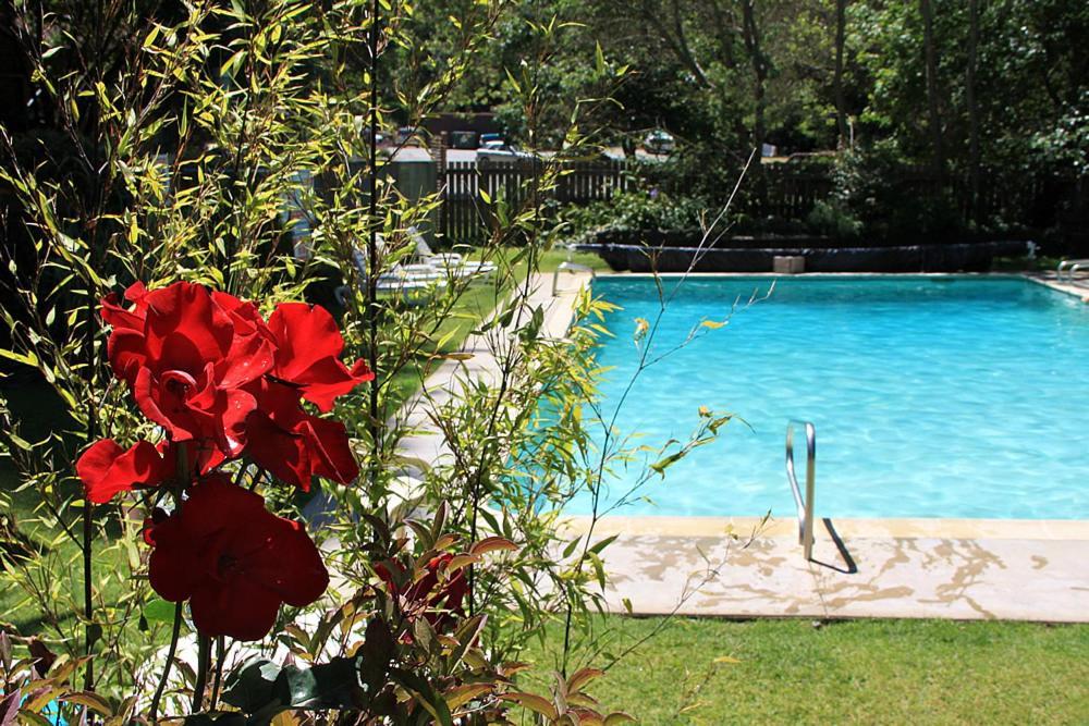Big Sur River Inn photo 12