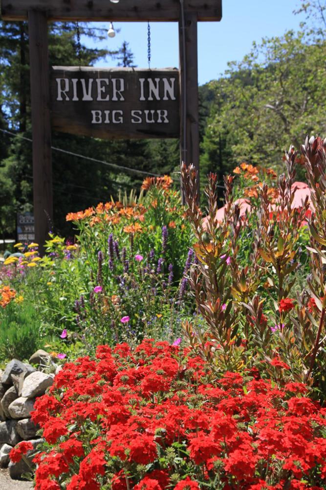 Big Sur River Inn photo 21