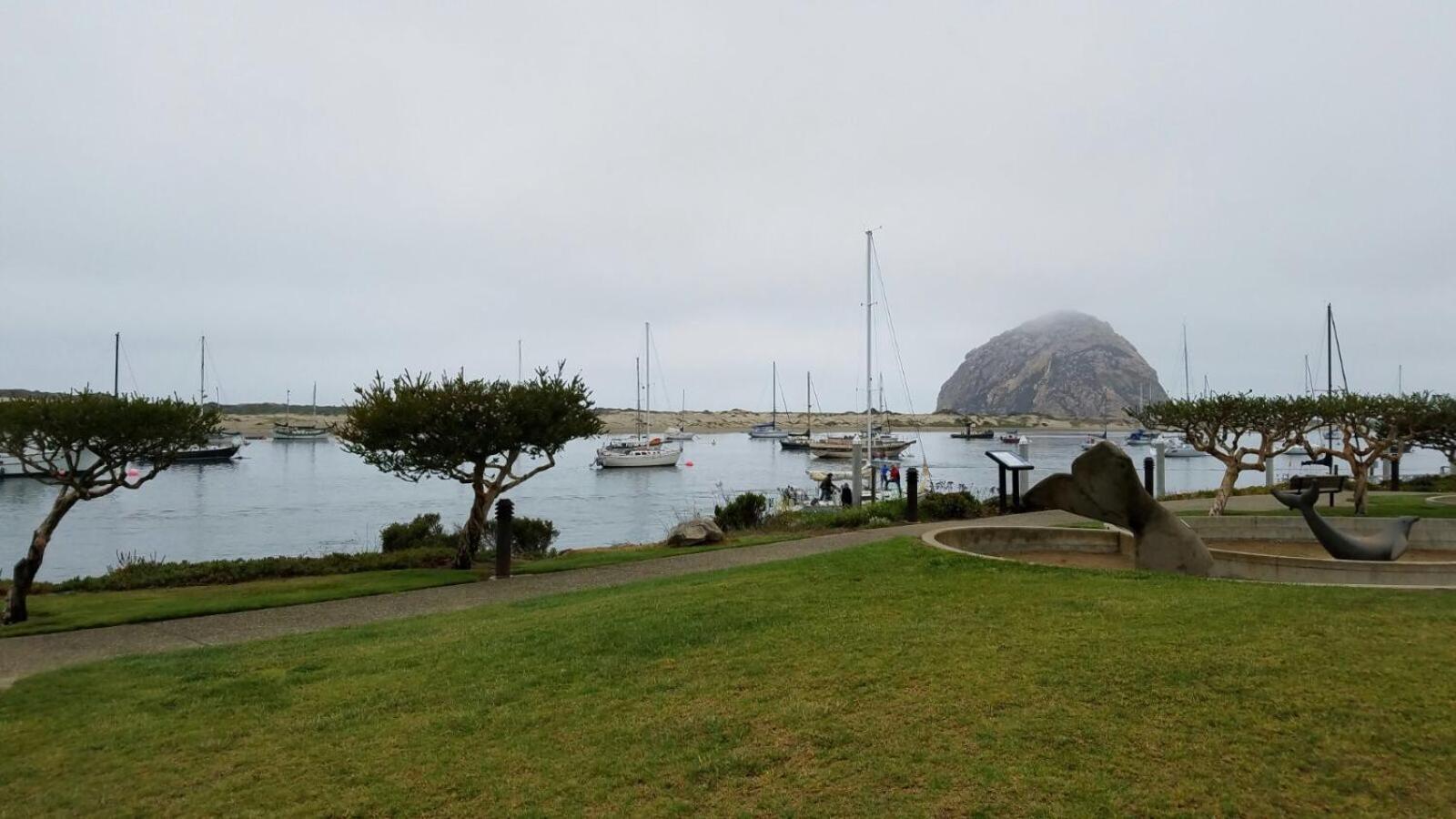 Morro Shores Inn And Suites photo 59