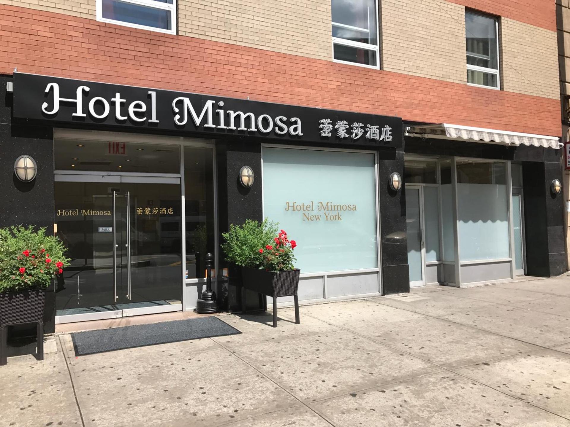 Hotel Mimosa photo 57