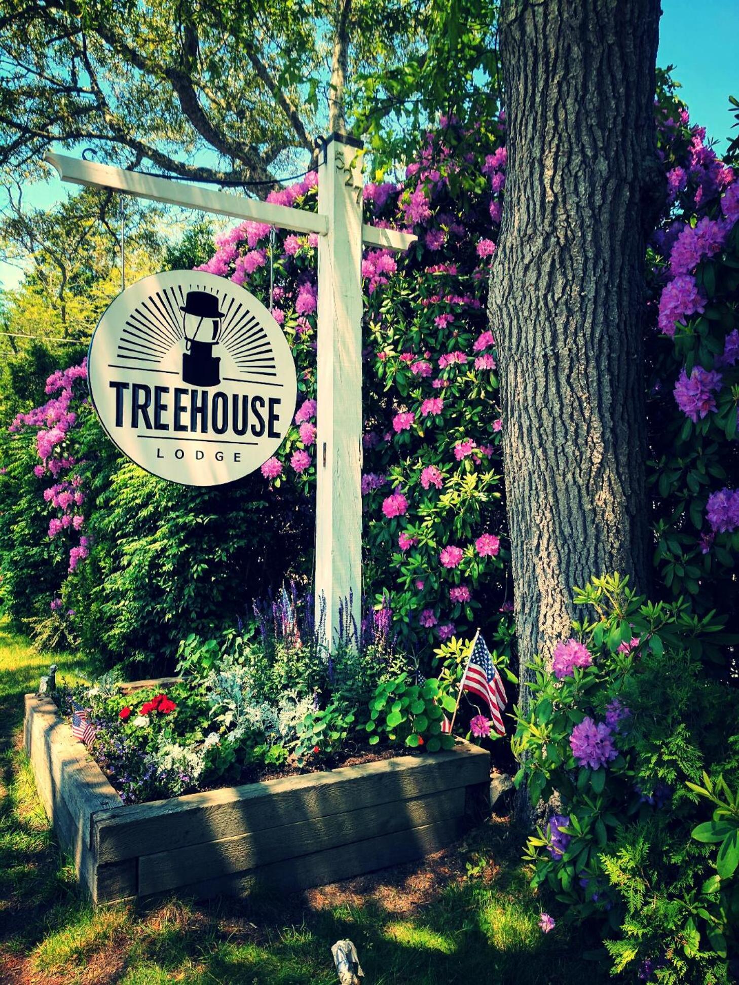 Treehouse Lodge photo 13