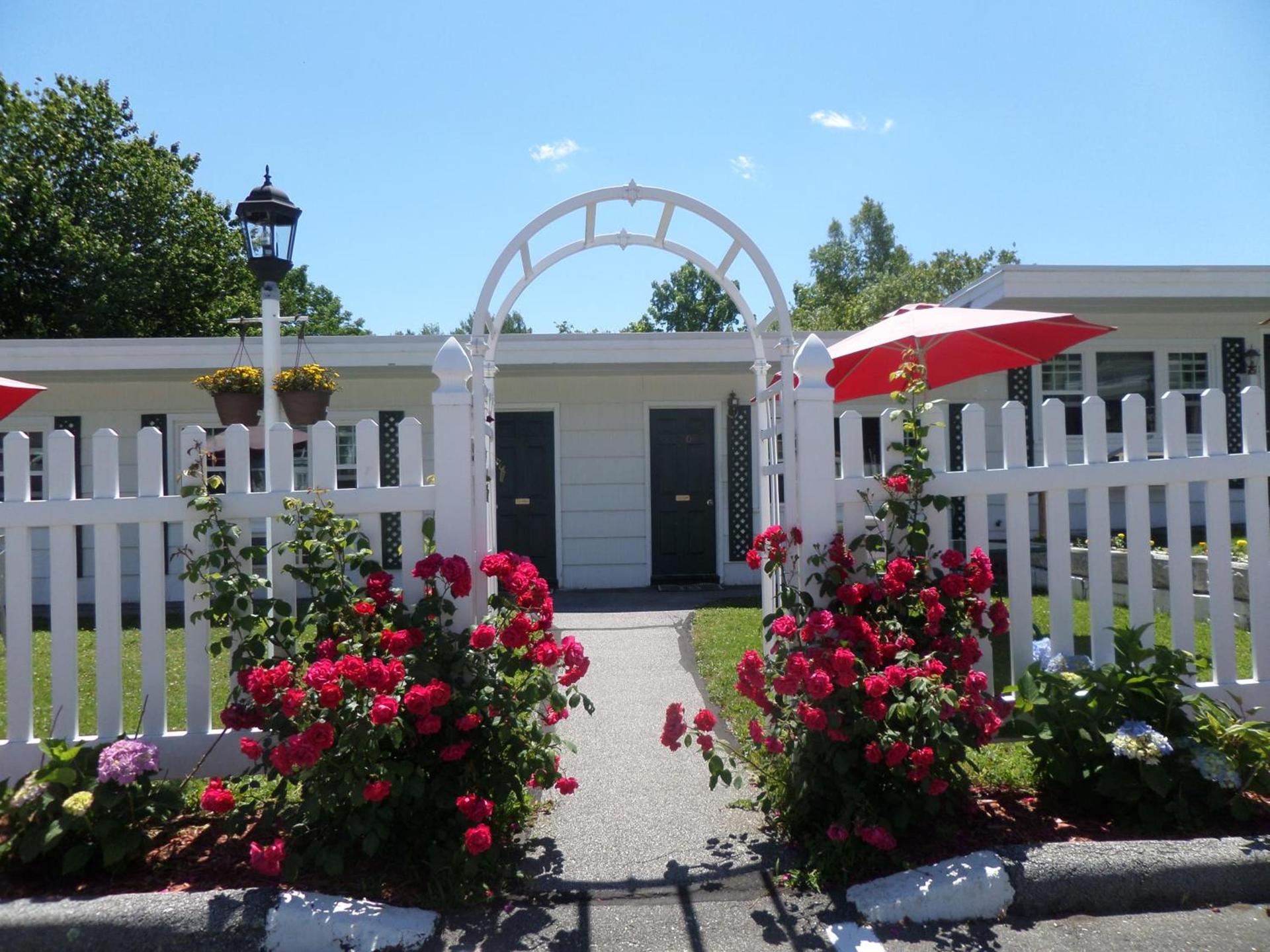 Claddagh Motel & Suites photo 4