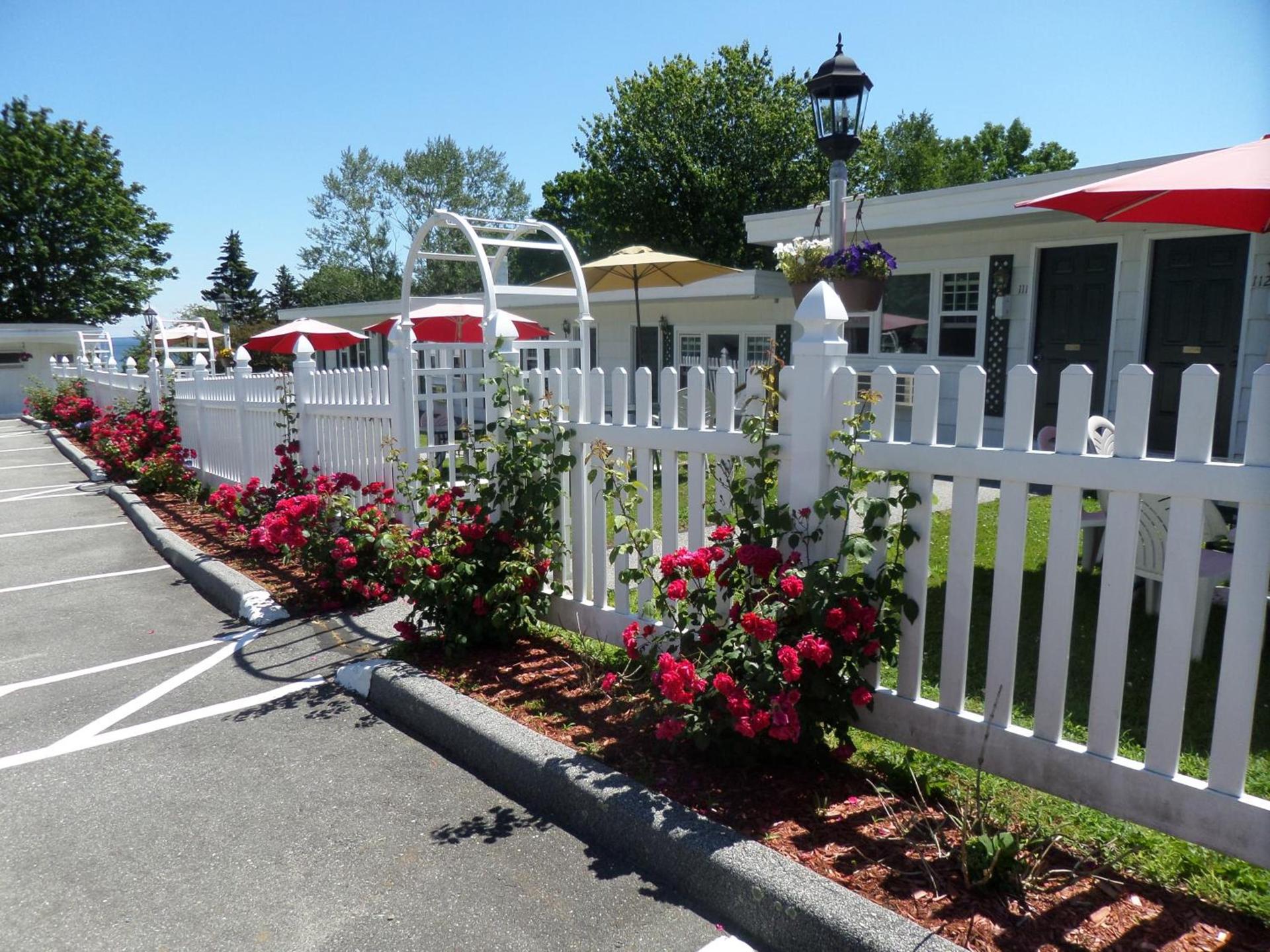 Claddagh Motel & Suites photo 26