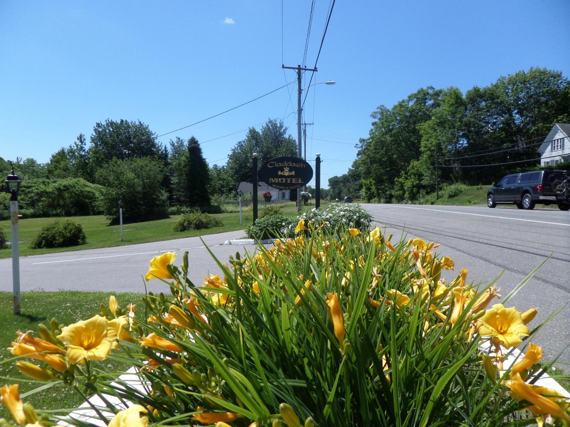 Claddagh Motel & Suites photo 25