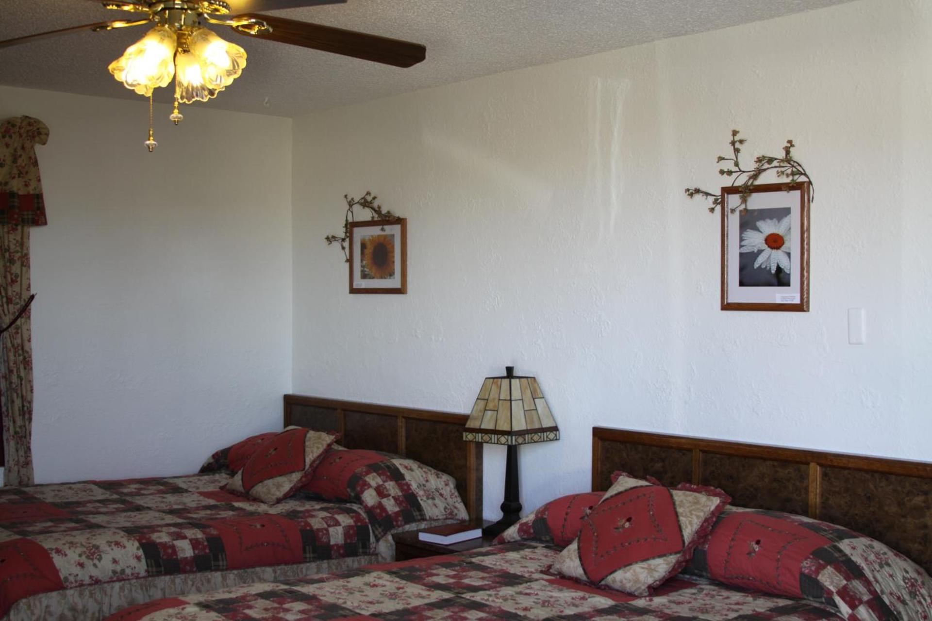 Sleep For Less Motel photo 10