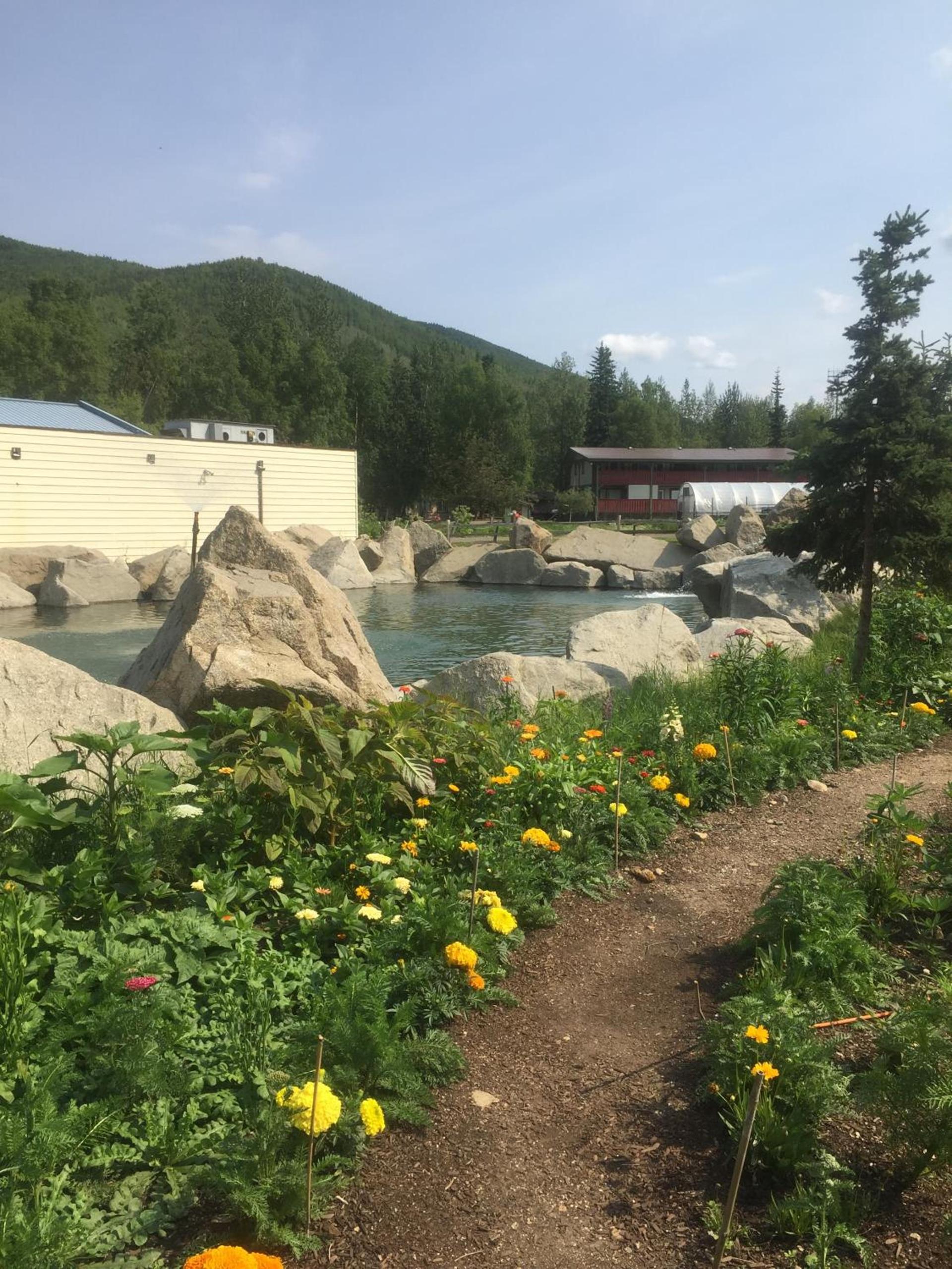 Chena Hot Springs Resort photo 29