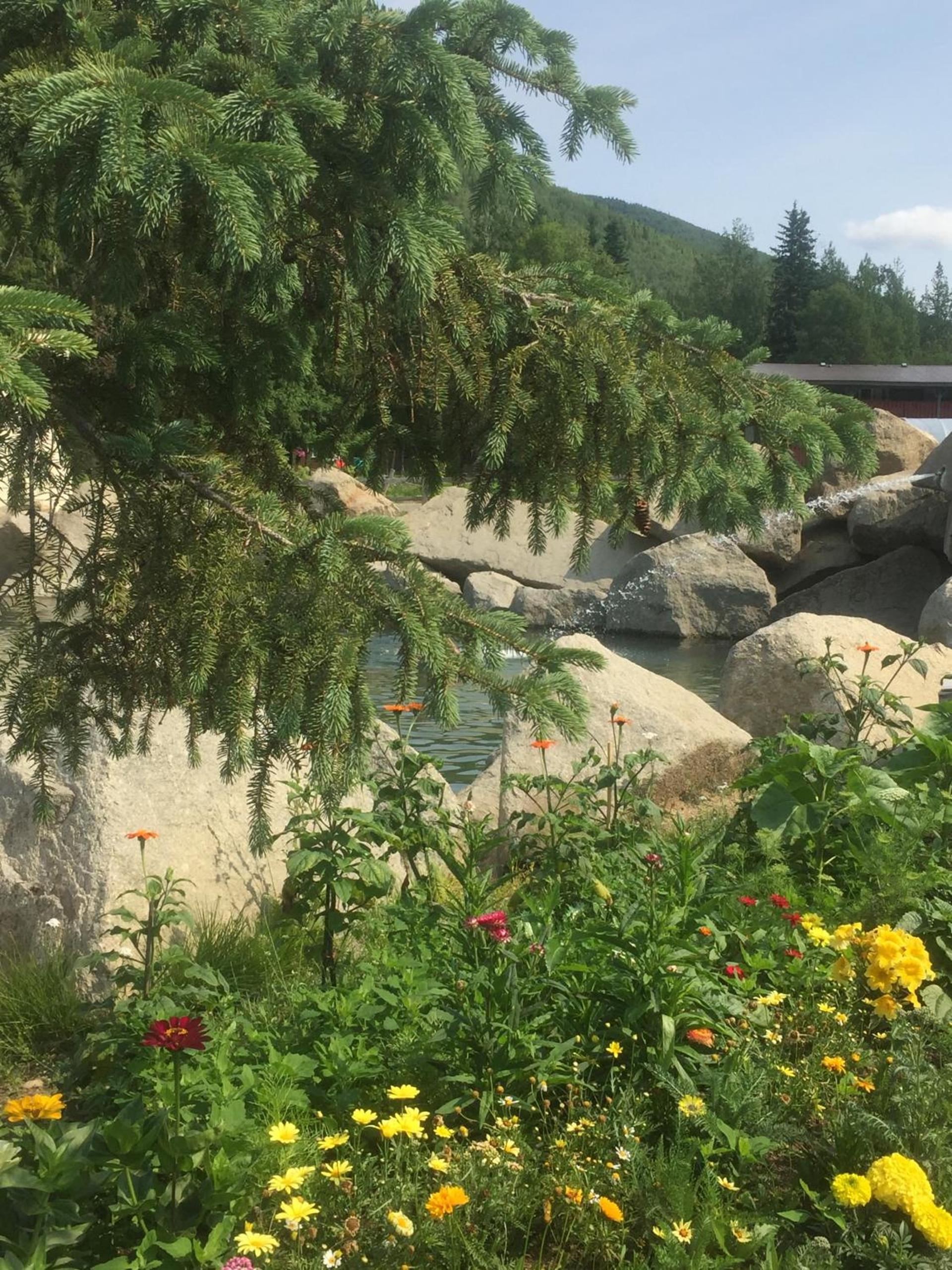 Chena Hot Springs Resort photo 30