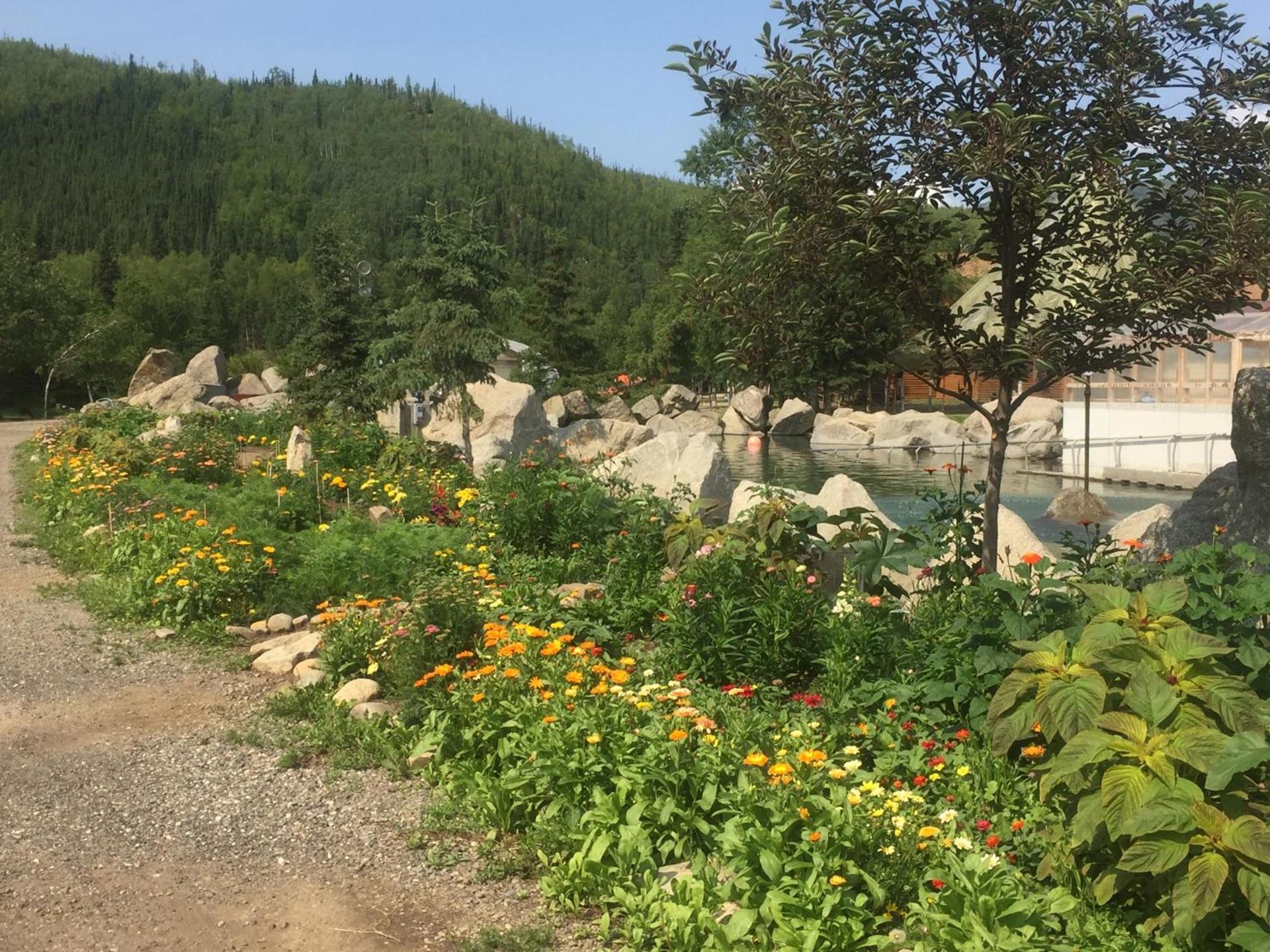 Chena Hot Springs Resort photo 31