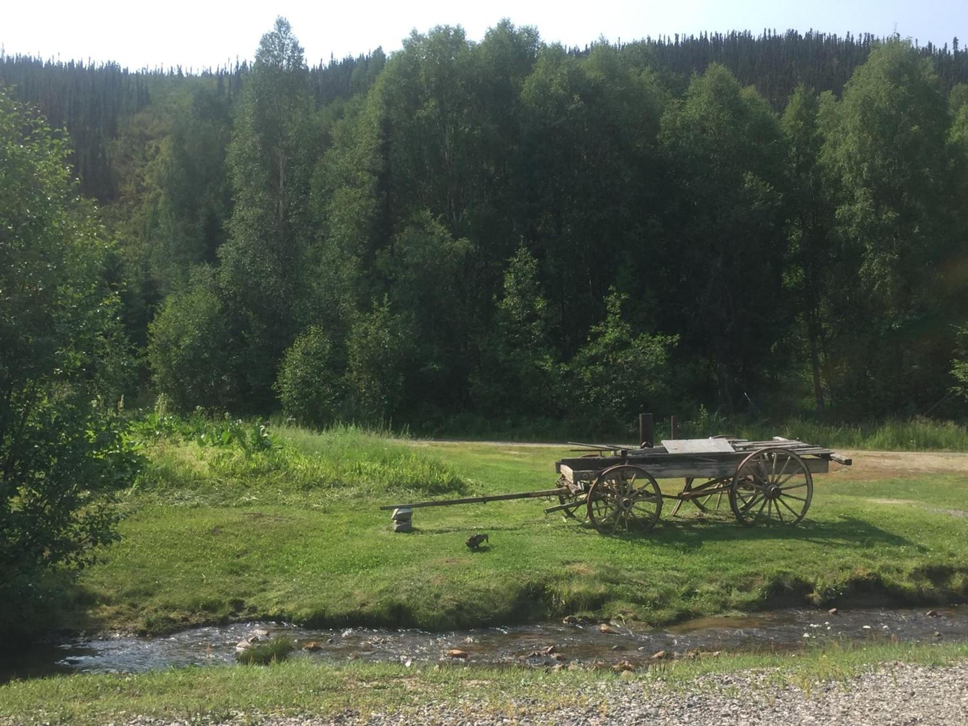 Chena Hot Springs Resort photo 32