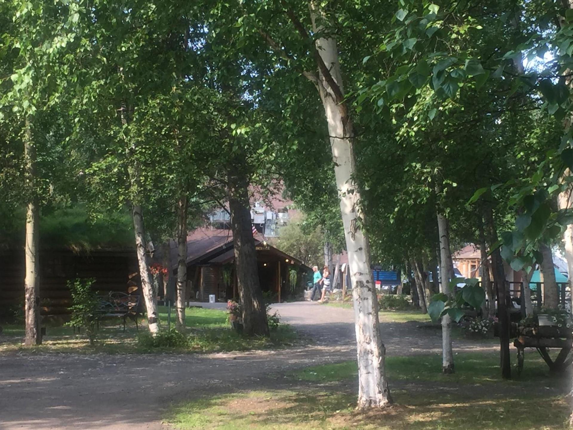Chena Hot Springs Resort photo 37