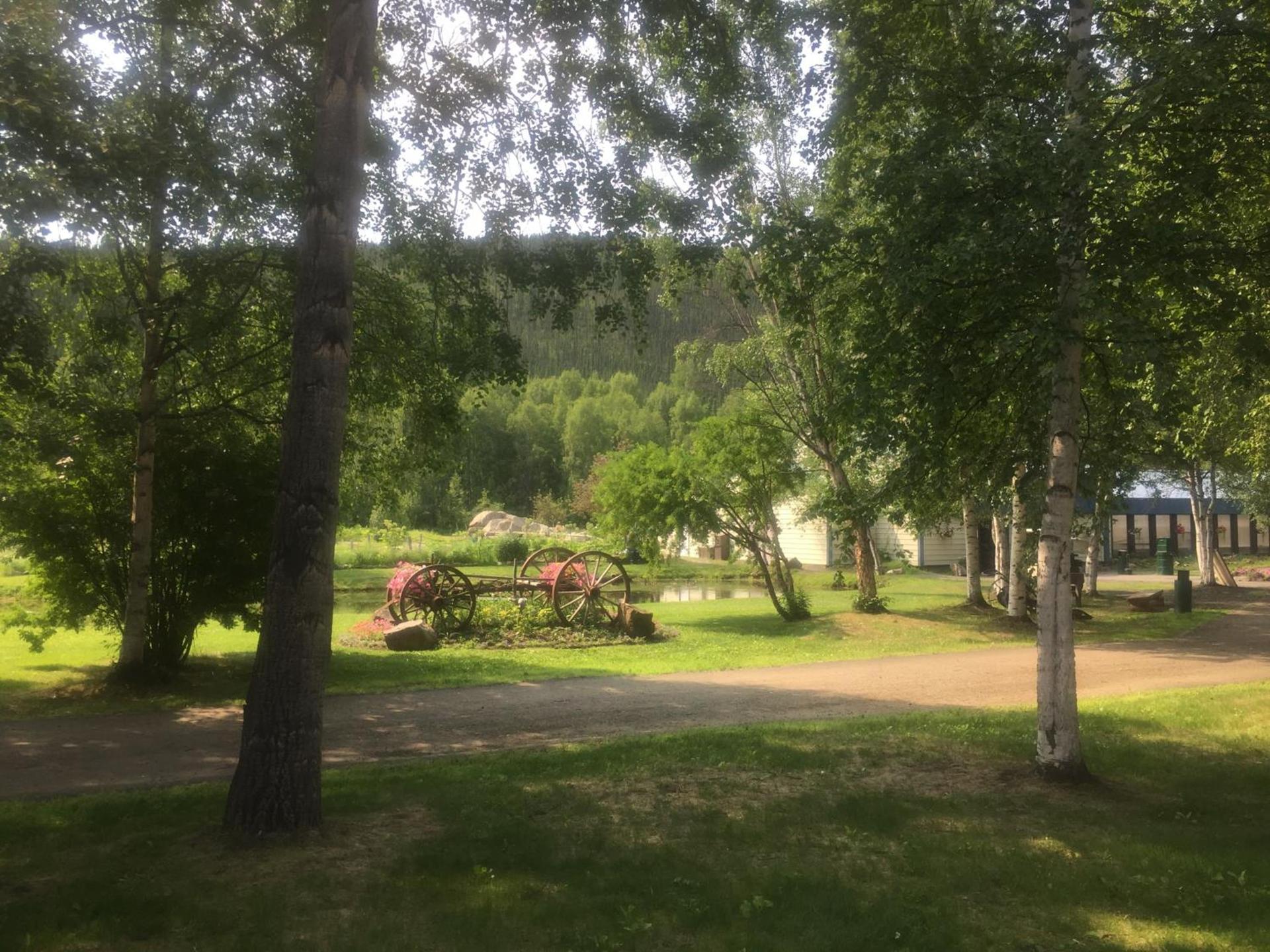 Chena Hot Springs Resort photo 38