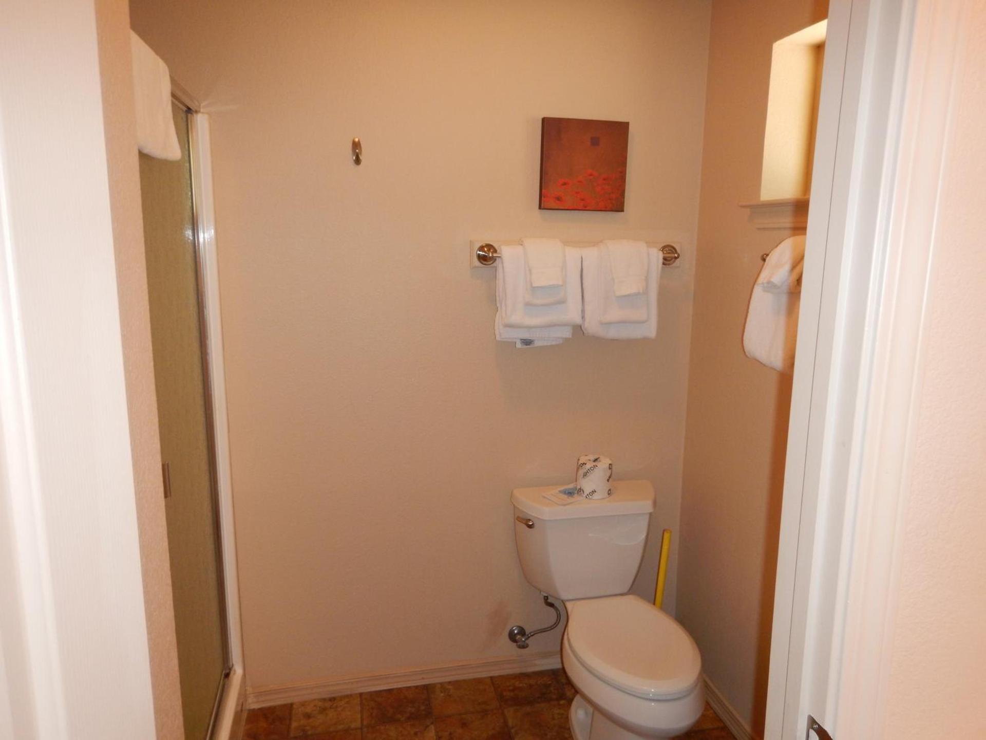 Mount Shasta Resort photo 24