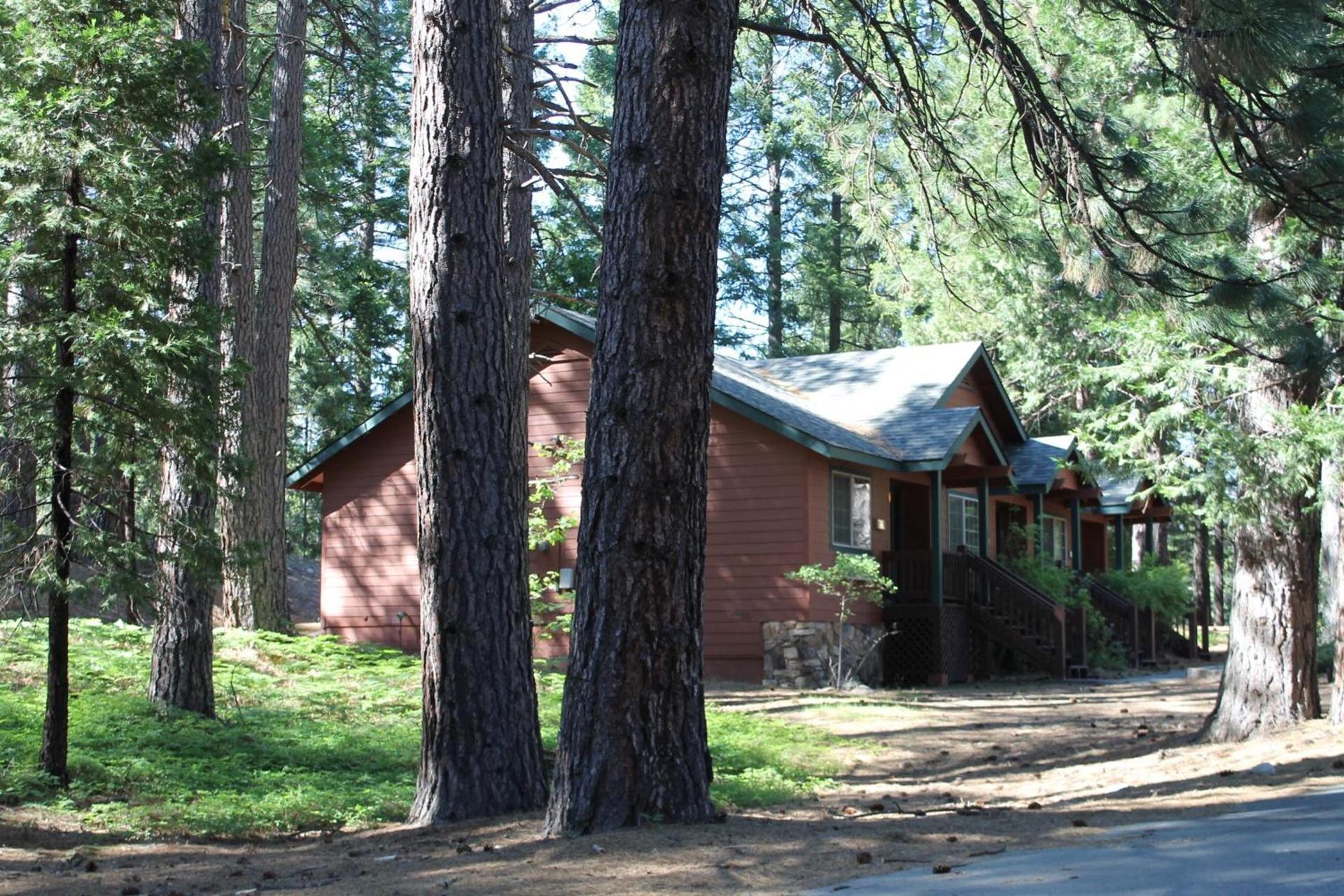 Mount Shasta Resort photo 26