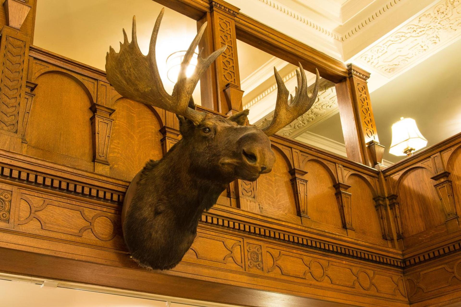 Missouri Athletic Club photo 40