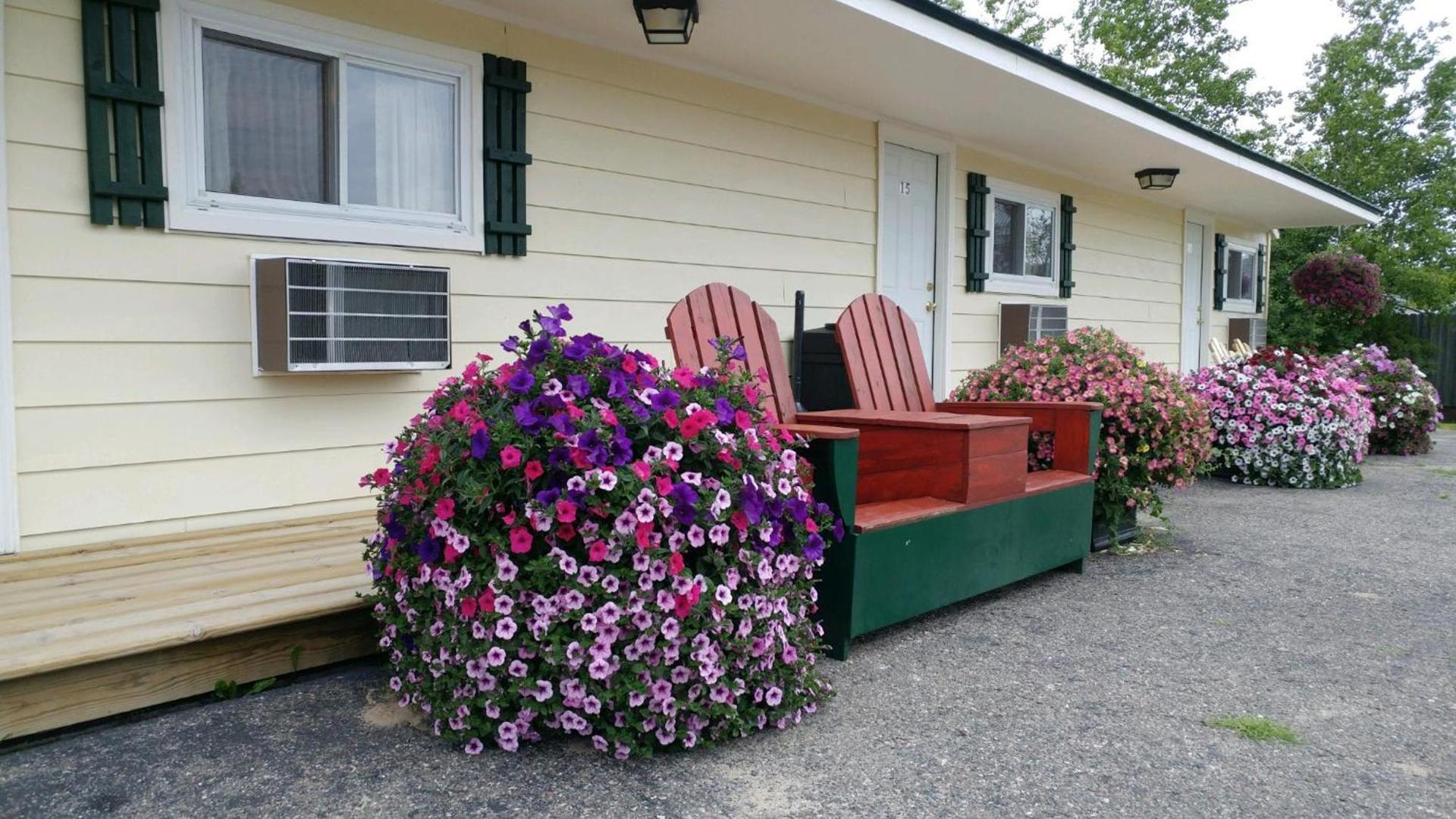 Sunset Motel at Armand's Gardens photo 17