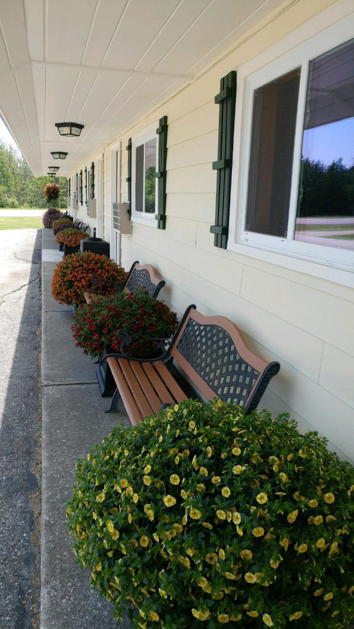 Sunset Motel at Armand's Gardens photo 20