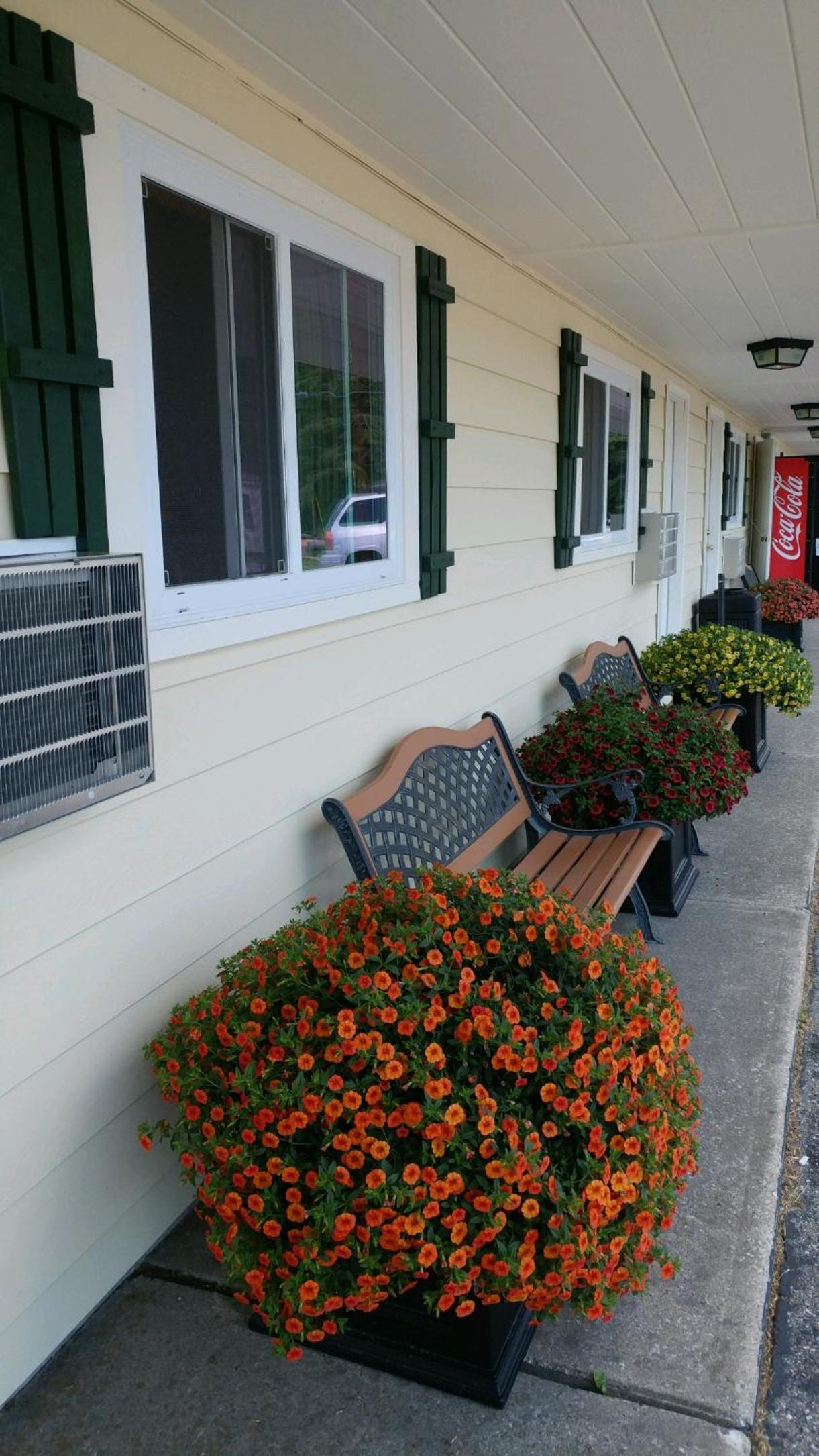 Sunset Motel at Armand's Gardens photo 54