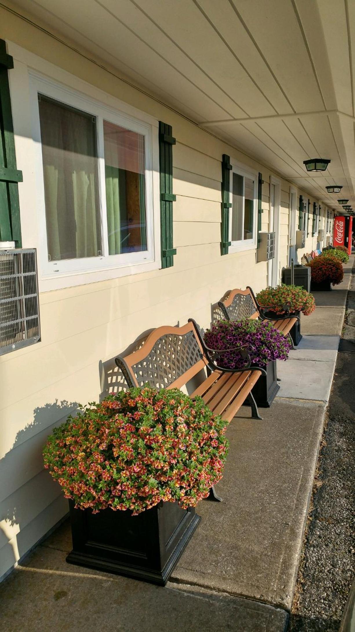 Sunset Motel at Armand's Gardens photo 23