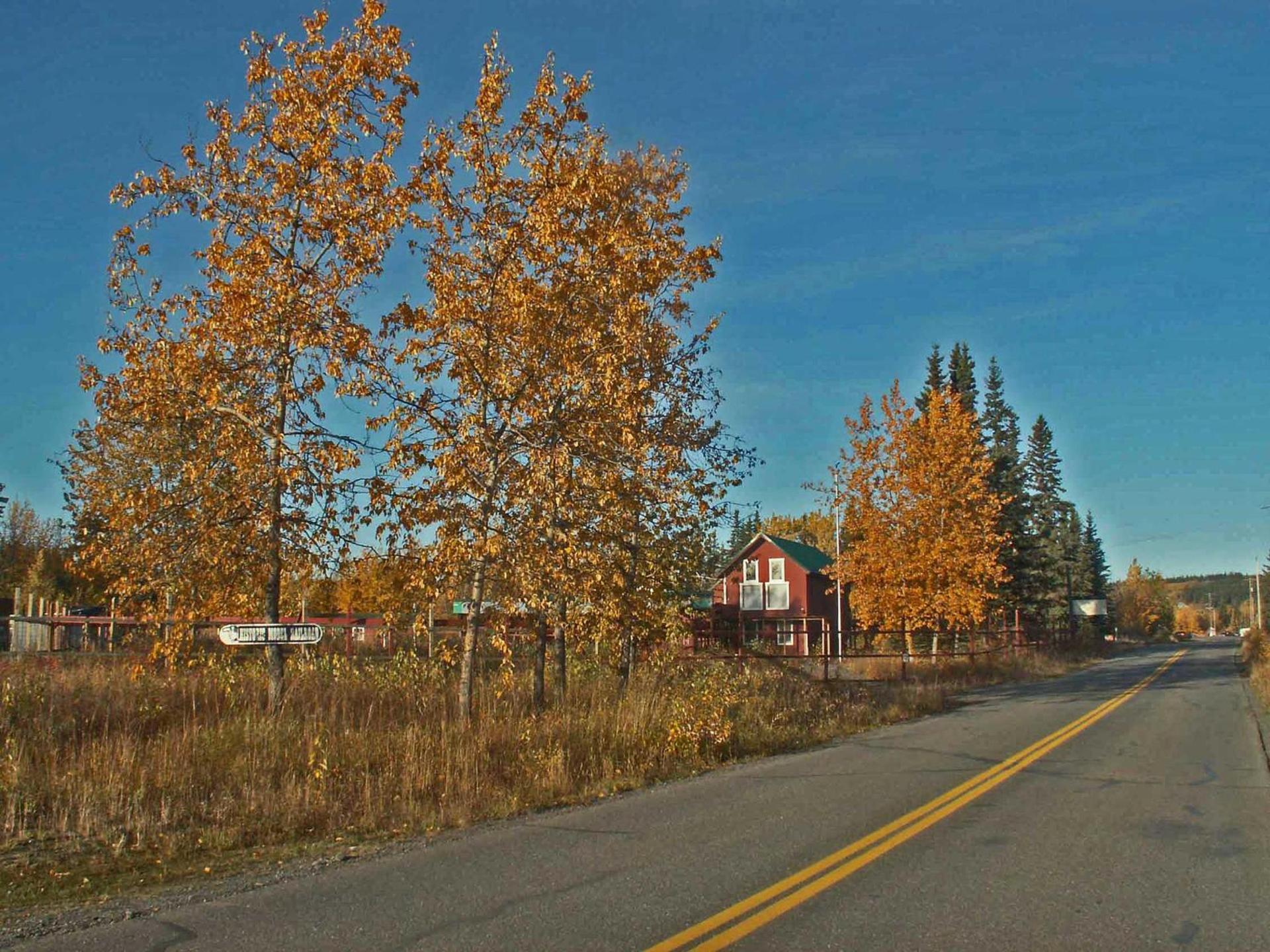Nicolai's Mine Camp photo 54