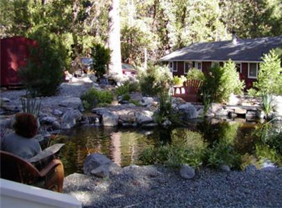 Silver Pines Lodge photo 28