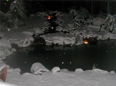 Silver Pines Lodge photo 31