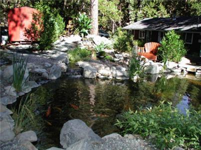 Silver Pines Lodge photo 30