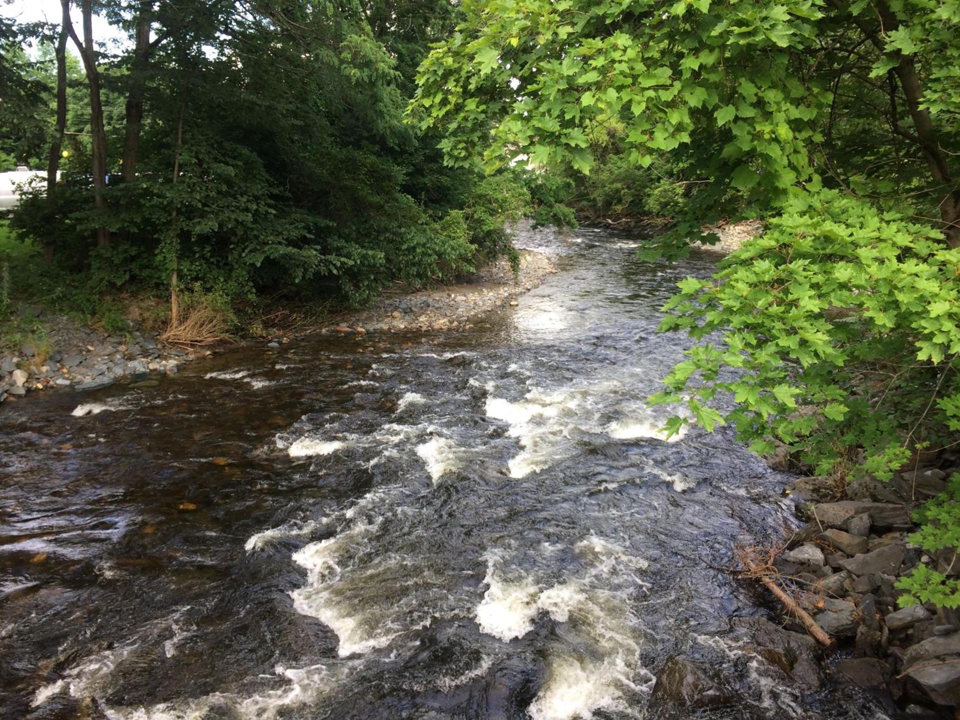 Wells River Motel photo 27