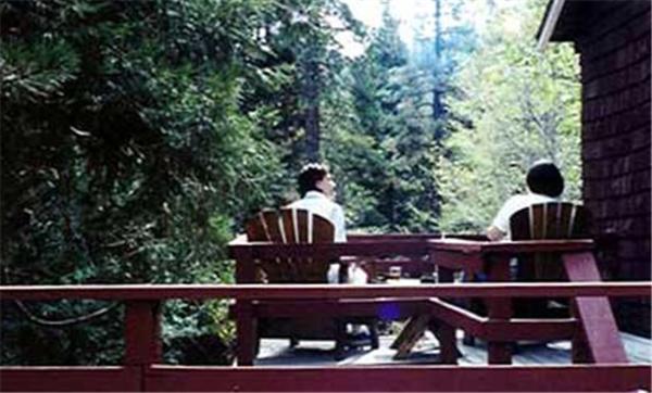 Silver Pines Lodge photo 32