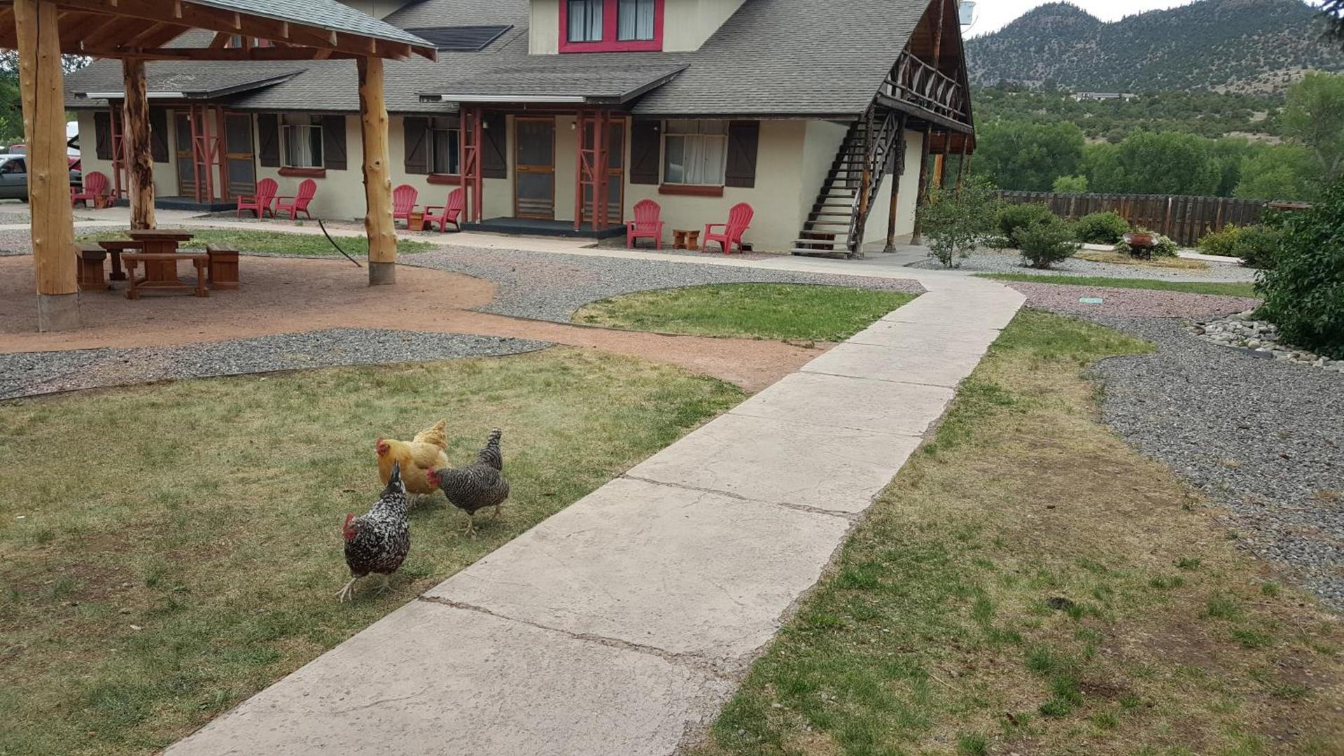 The Spruce Lodge photo 7